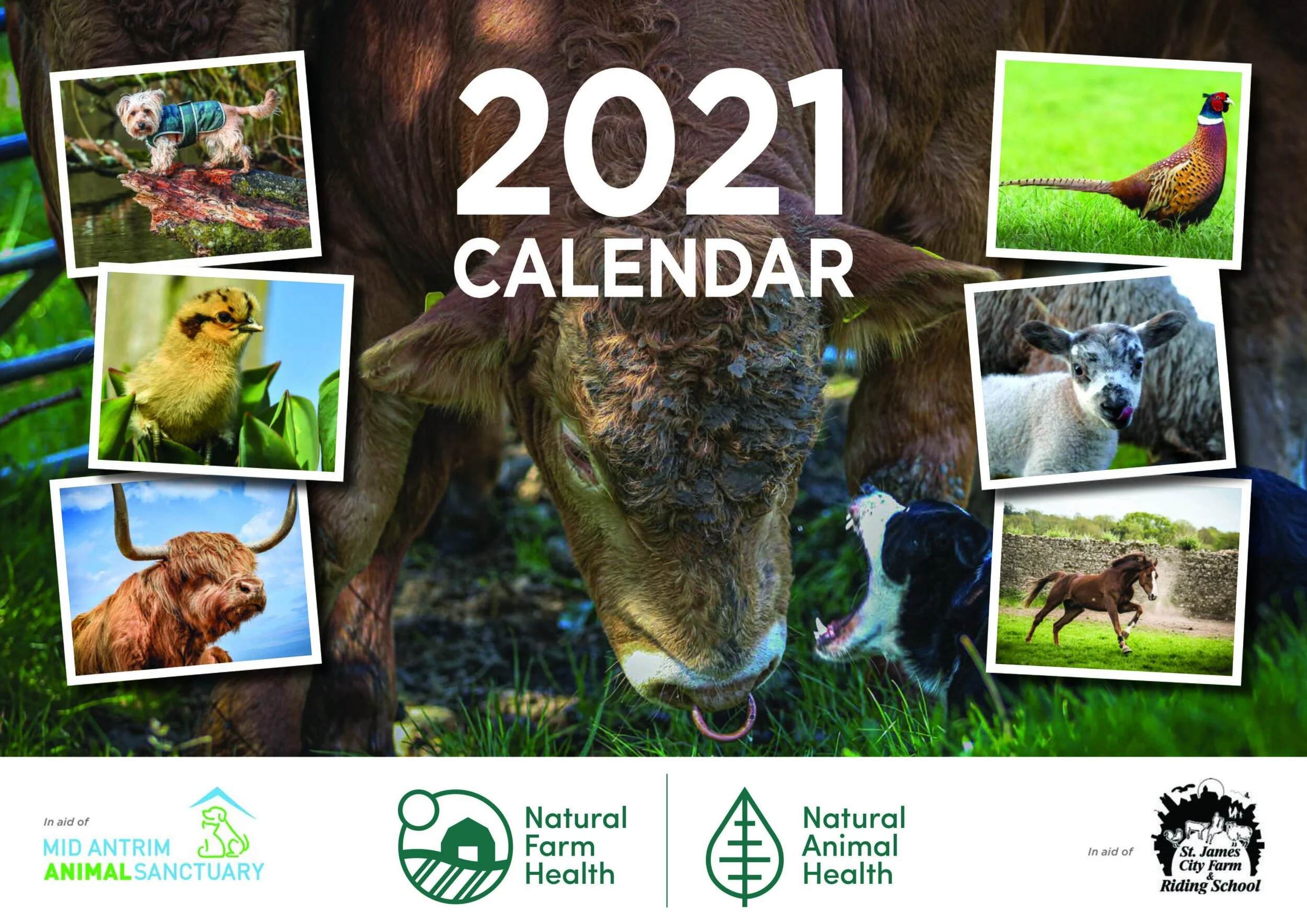 The 2025 Natural Animal Health Calendar is now on sale!