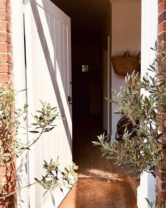 Cold sunny mornings are very lovely 💛✨☀️💛✨☀️ &bull;
&bull;
&bull;
&bull;
#autumnmorning #sunshine #beautiful #makesmehappy #goodmorning #hallway #simpleinterior #neutralcolors #style #mystyle #olivetree #natural #white #simplicity #design #alwaysna