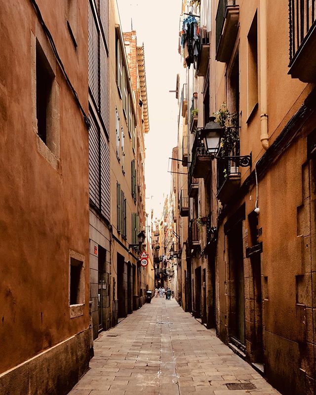 Endless narrow, honey coloured streets for miles. Such an amazing city, I am in love. &bull;
&bull;
&bull;
&bull;
#barcelona #barcelonastreets #architecture #style #beauty #spanishstyle #espa&ntilde;a #steetlife #design #architecturalphotography #nat