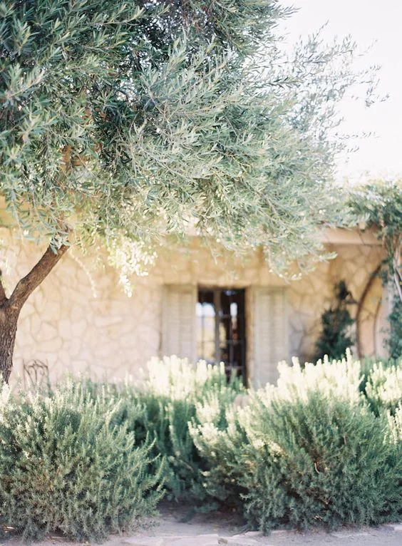 Ibiza finca