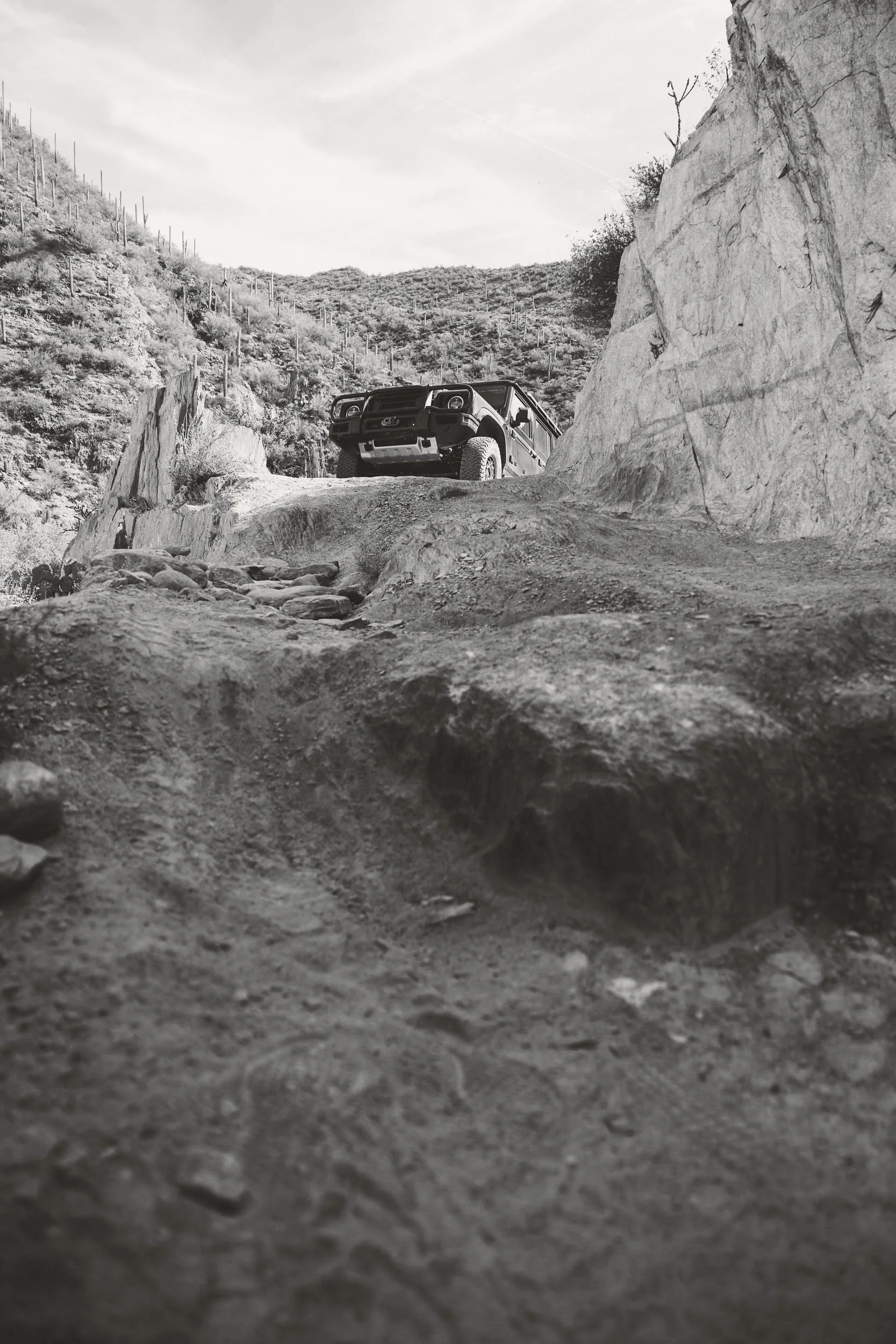 1E1A1898-8.jpg