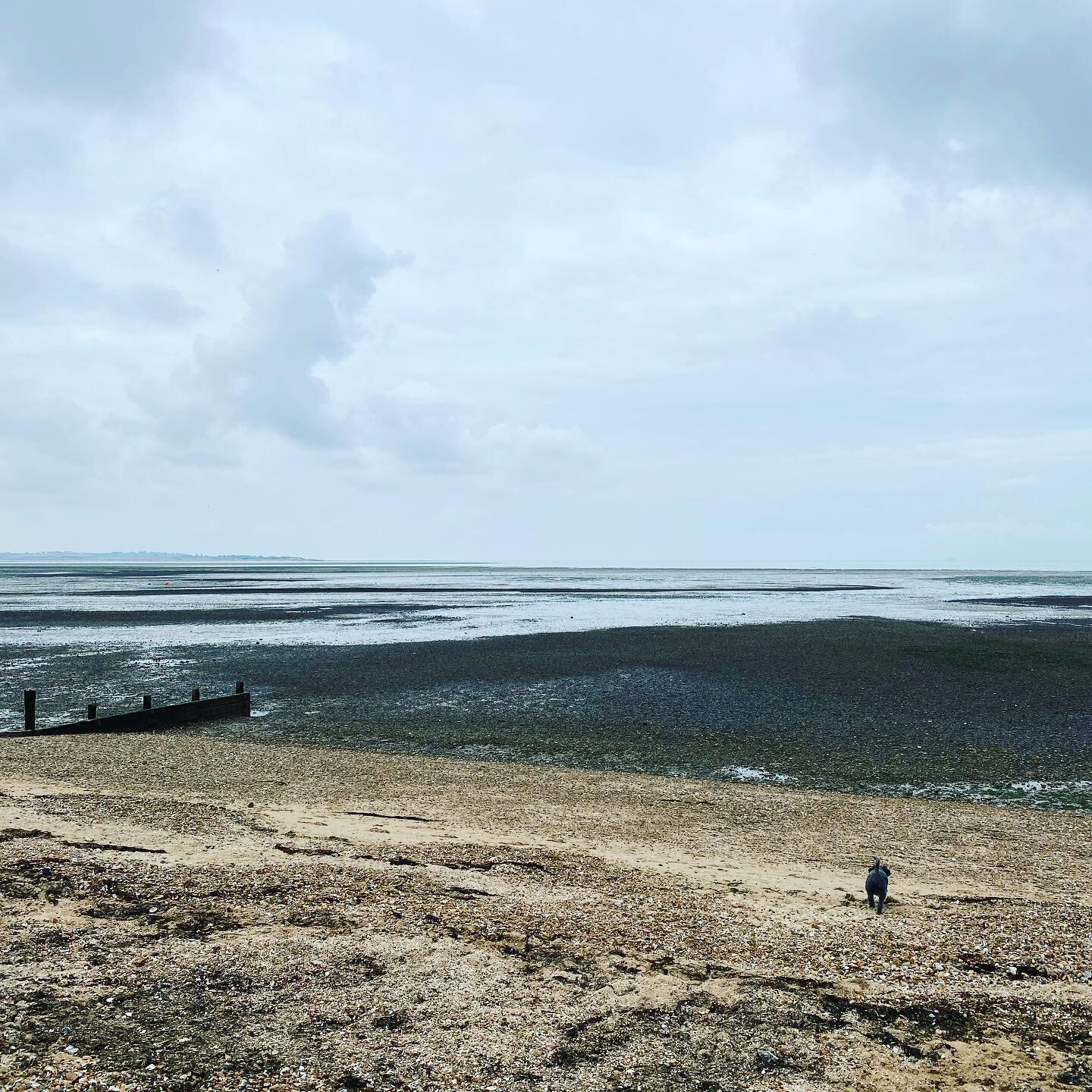 Lovely to be back by the sea and perform the traditional seaside Macarena 💙