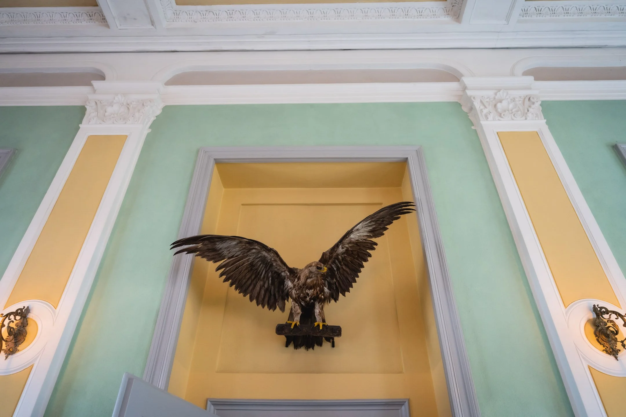 Pierre-Yves Jortay - BTIF  - SAINT-MORITZ JUNE 2022 - WEB - FORMAT WEB -  98.JPG