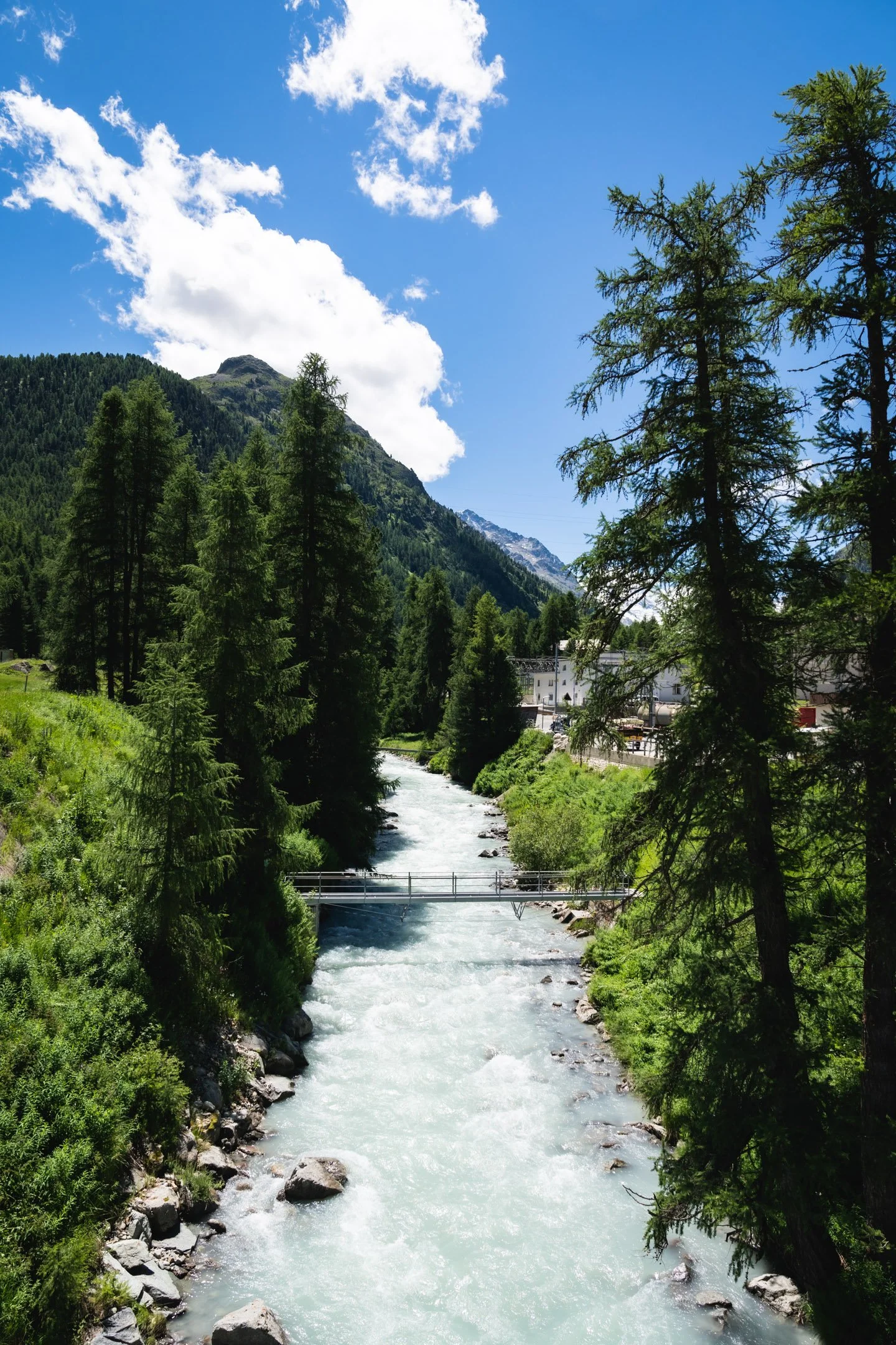 Pierre-Yves Jortay - BTIF  - SAINT-MORITZ JUNE 2022 - WEB - FORMAT WEB -  285.JPG