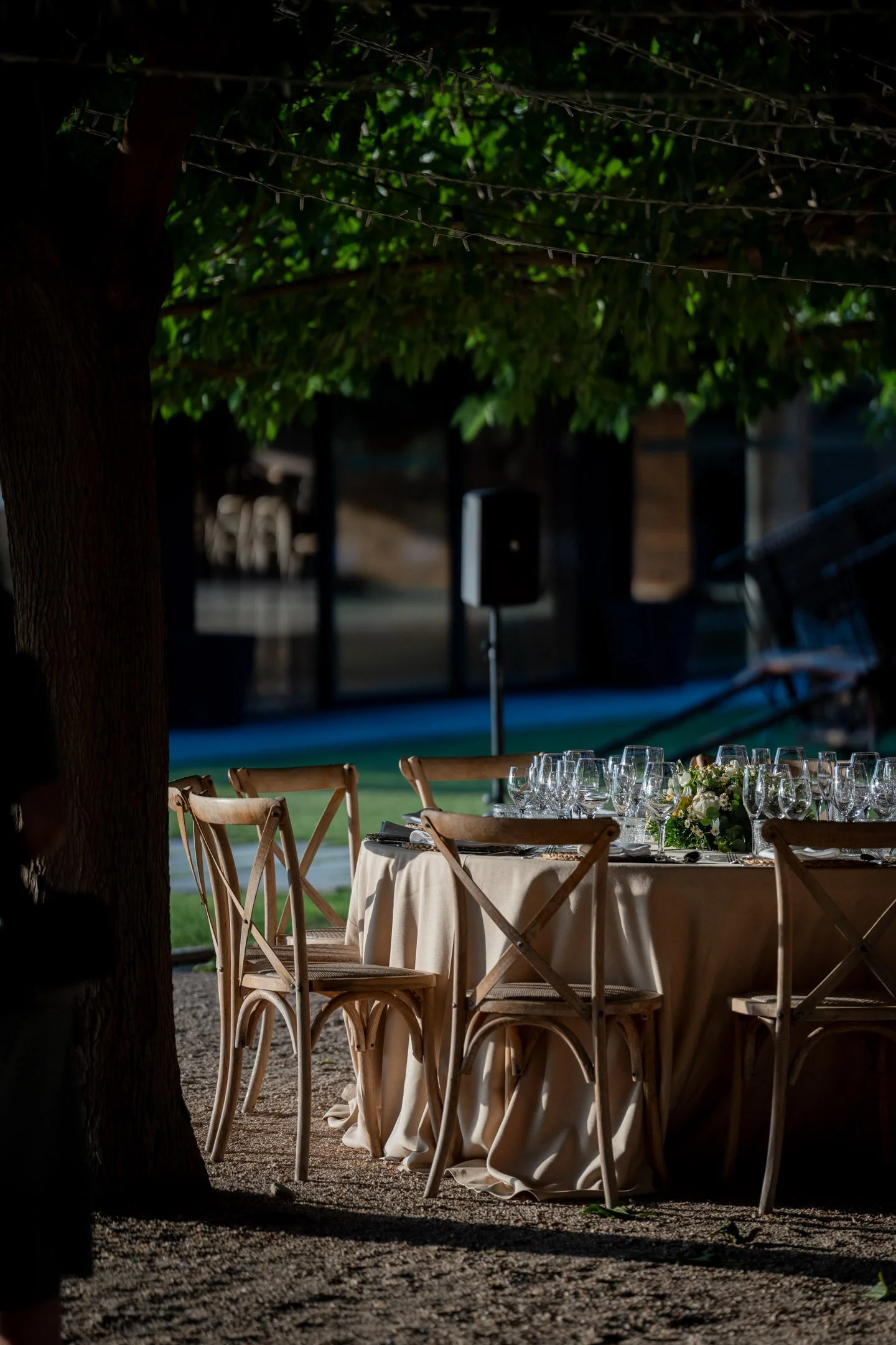 Pierre-Yves Jortay Photography - BTIF - OLIVA 2025 - WEB FORMAT - 411.jpg