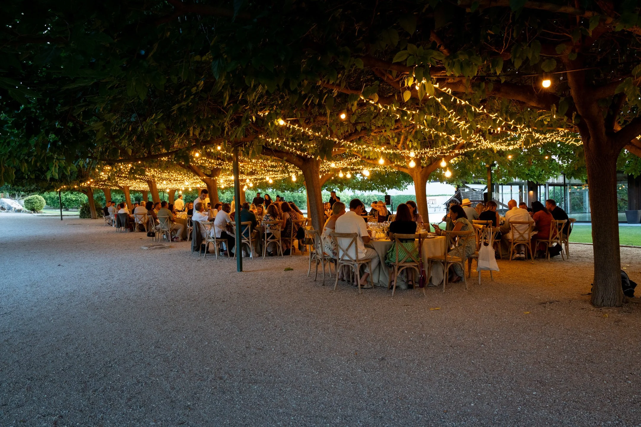 Pierre-Yves Jortay Photography - BTIF - OLIVA 2025 - WEB FORMAT - 434.jpg
