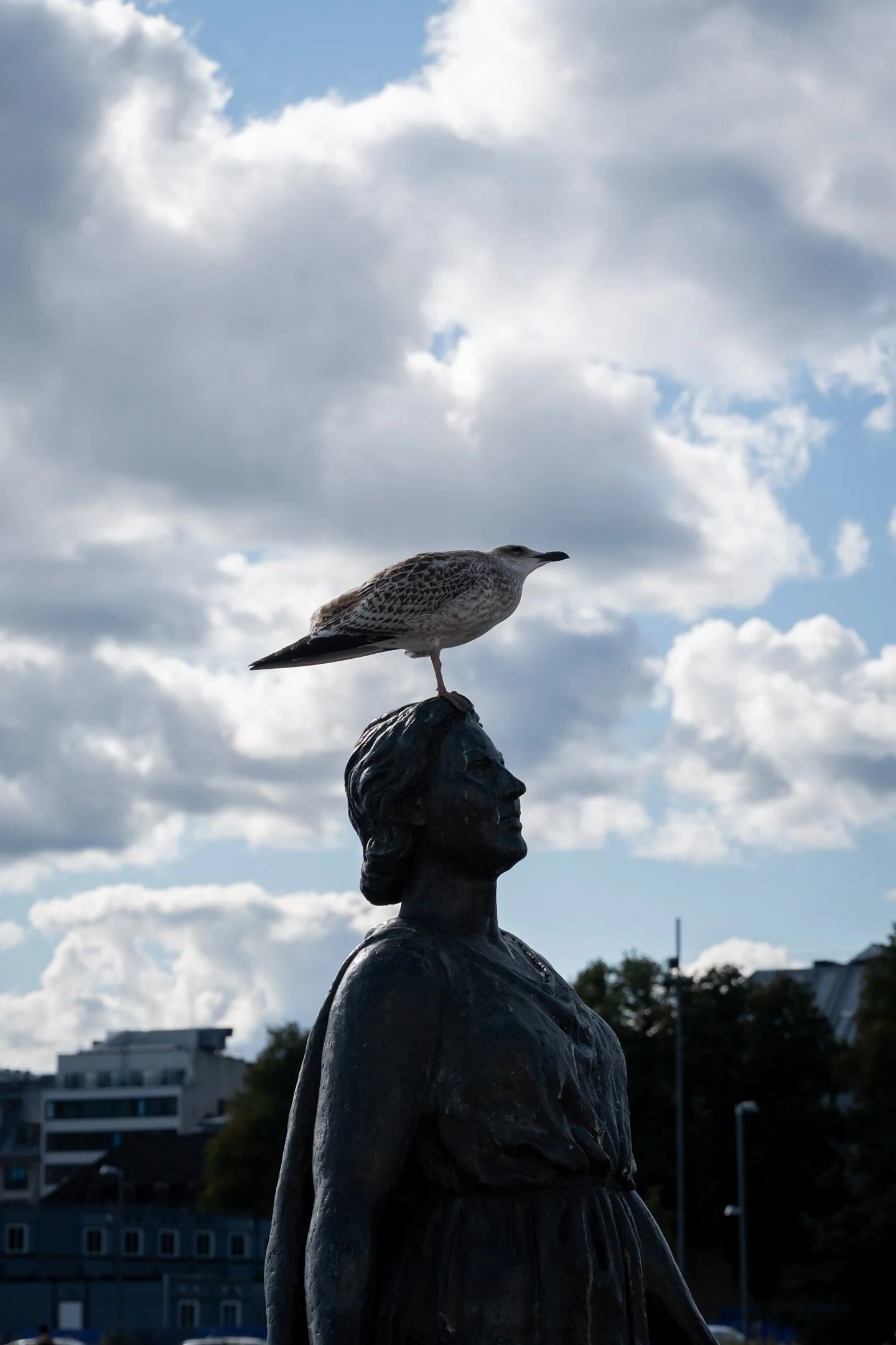 Pierre-Yves Jortay Photography - BTIF OSLO 2025 - WEB FORMAT - 7.jpg