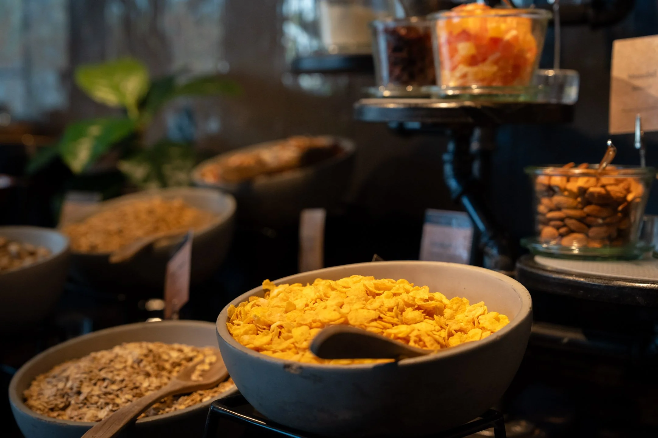 Pierre-Yves Jortay Photography - BTIF OSLO 2025 - WEB FORMAT - 123.jpg