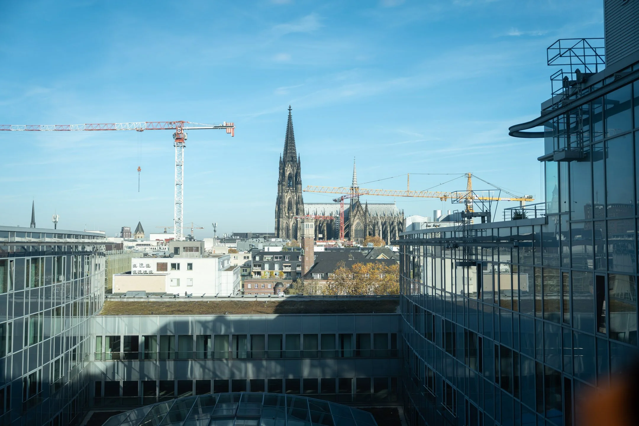 Pierre-Yves Jortay Photography - BTIF Cologne 2025 - WEB Format - 121.jpg