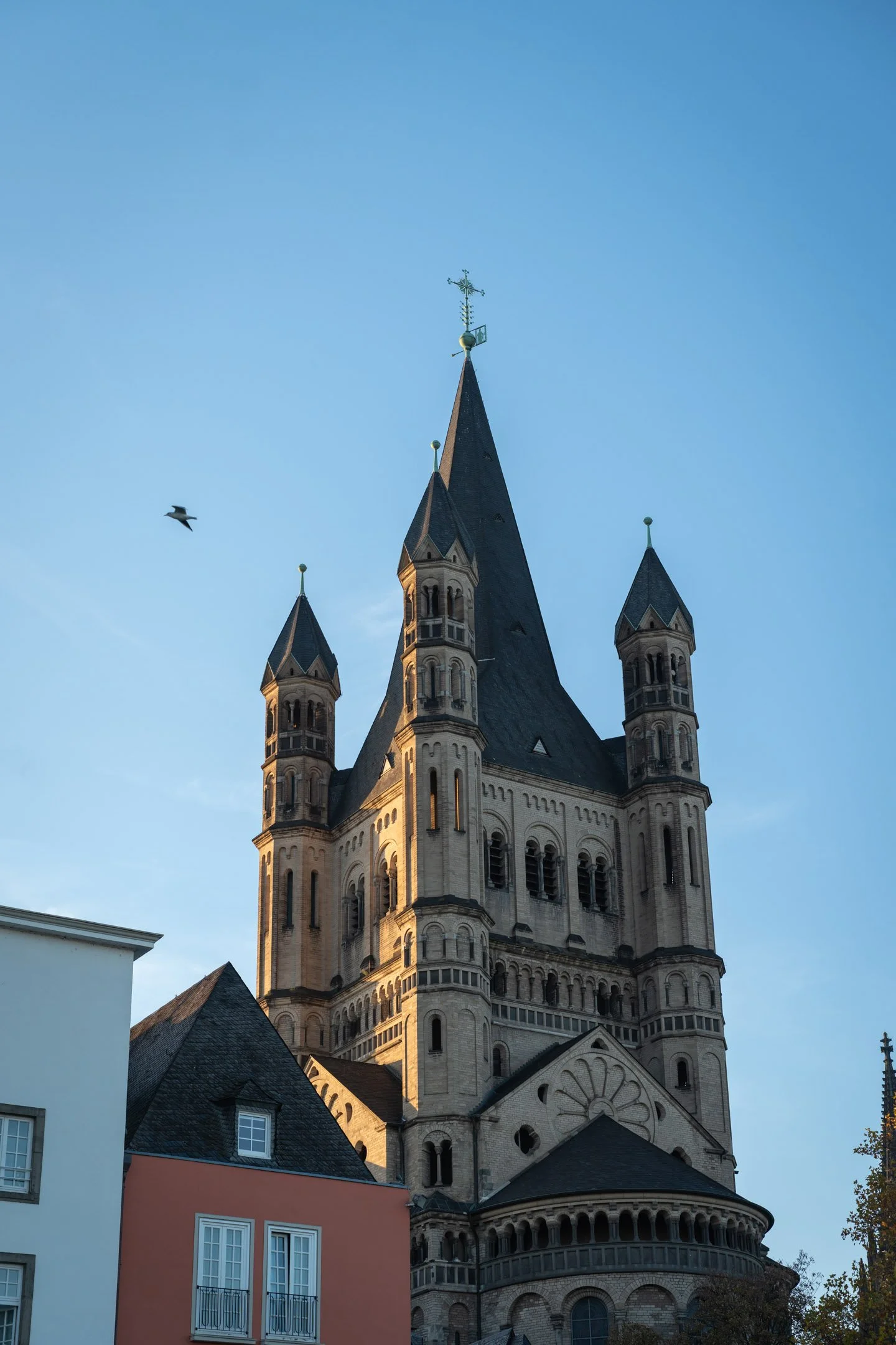 Pierre-Yves Jortay Photography - BTIF Cologne 2025 - WEB Format - 250.jpg