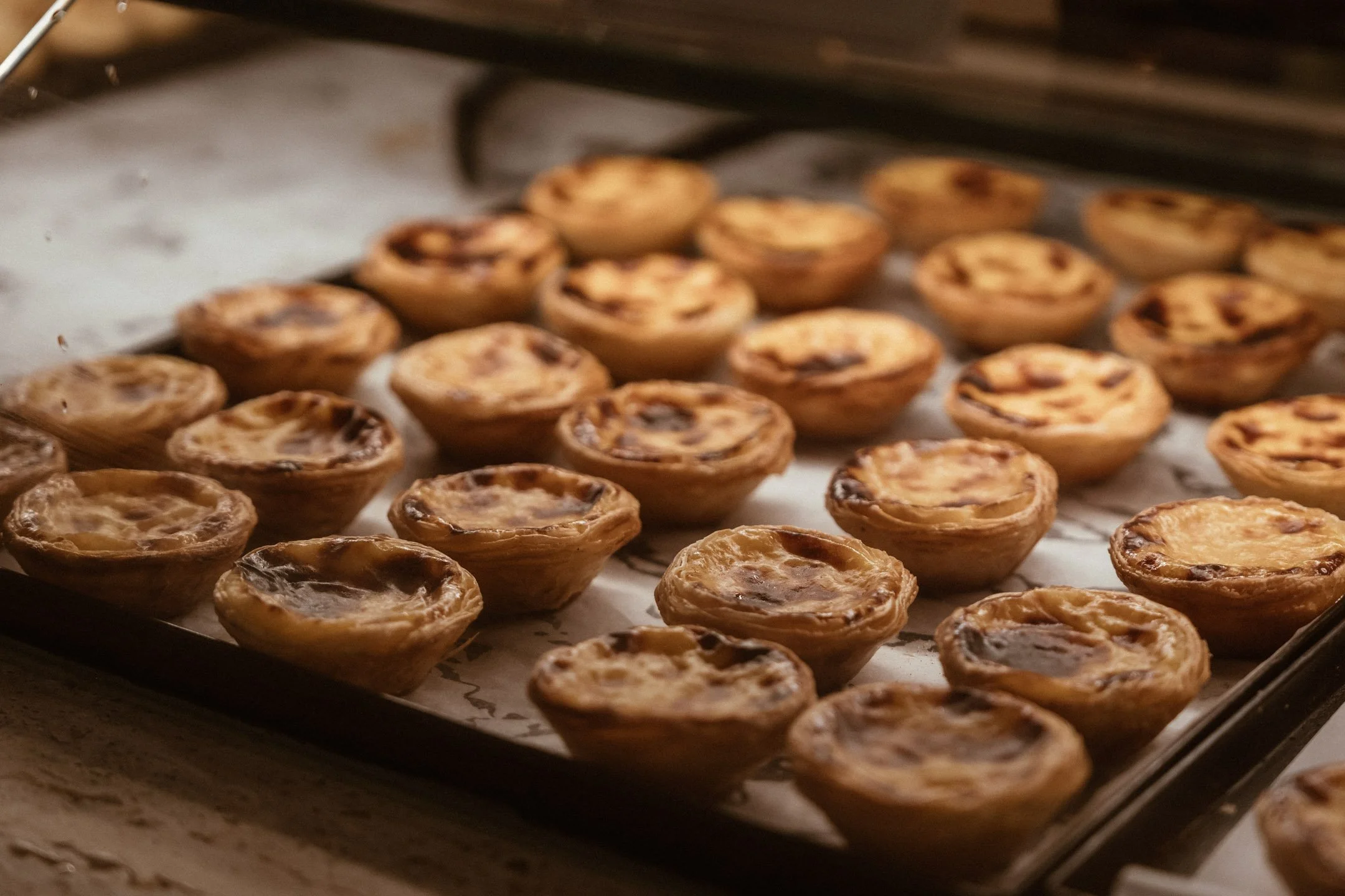 Pierre-Yves Jortay Photography - BTIF -  Lisbonne 2025 Final selection - web format -147.jpg