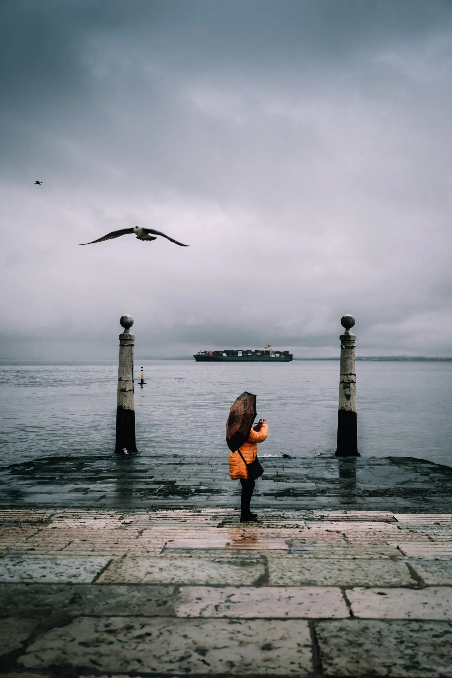 Pierre-Yves Jortay Photography - BTIF -  Lisbonne 2025 Final selection - web format -155.jpg