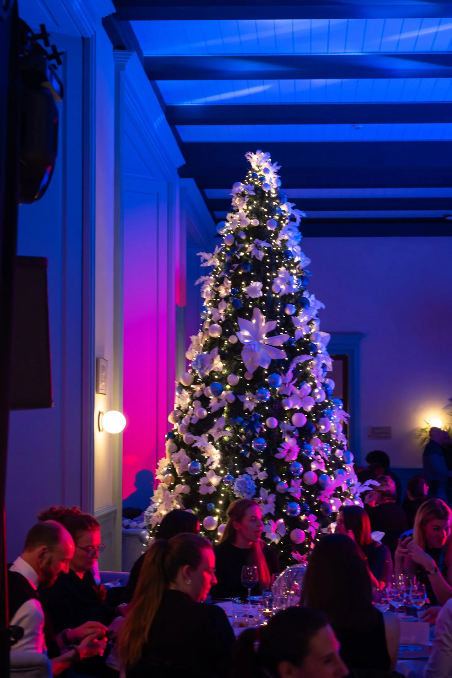 Pierre-Yves Jortay Photography - BTIF -  Lisbonne 2025 Final selection - web format -222.jpg