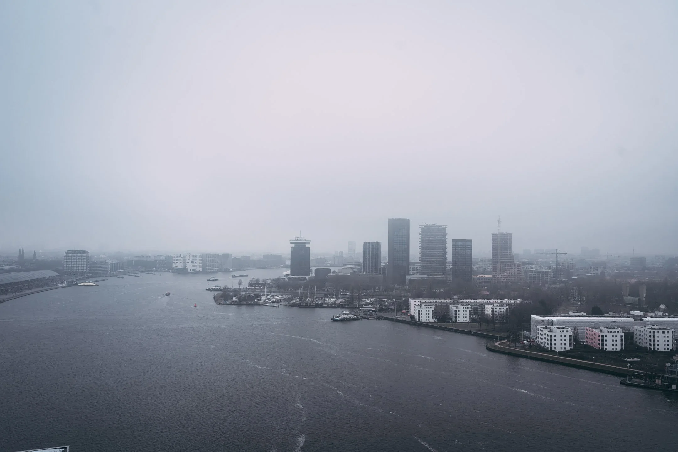 Pierre-Yves Jortay Photography - BITF Amsterdam 2026 - WEB FORMAT - 168.jpg