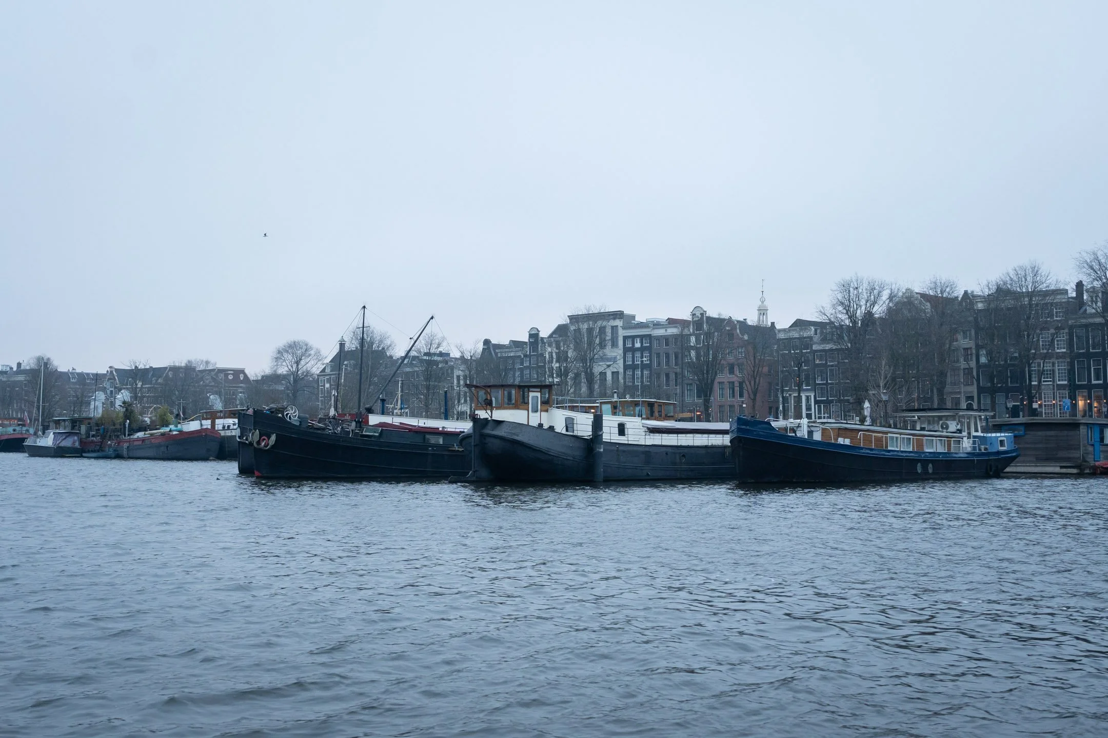 Pierre-Yves Jortay Photography - BITF Amsterdam 2026 - WEB FORMAT - 271.jpg