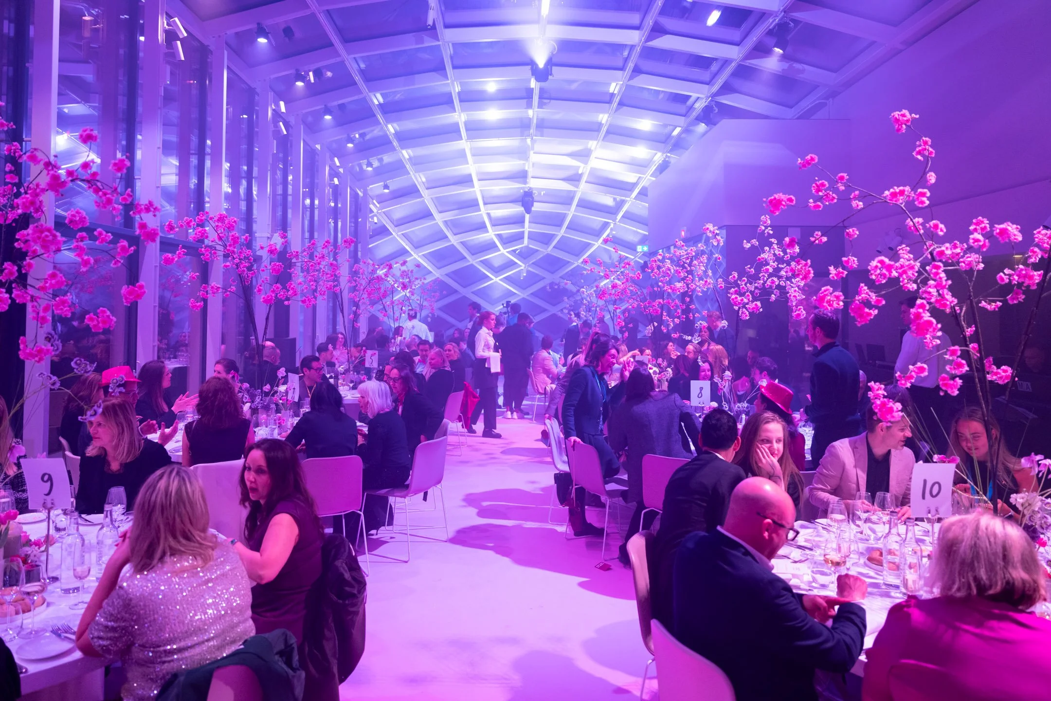 Pierre-Yves Jortay Photography - BITF Amsterdam 2026 - WEB FORMAT - 333.jpg