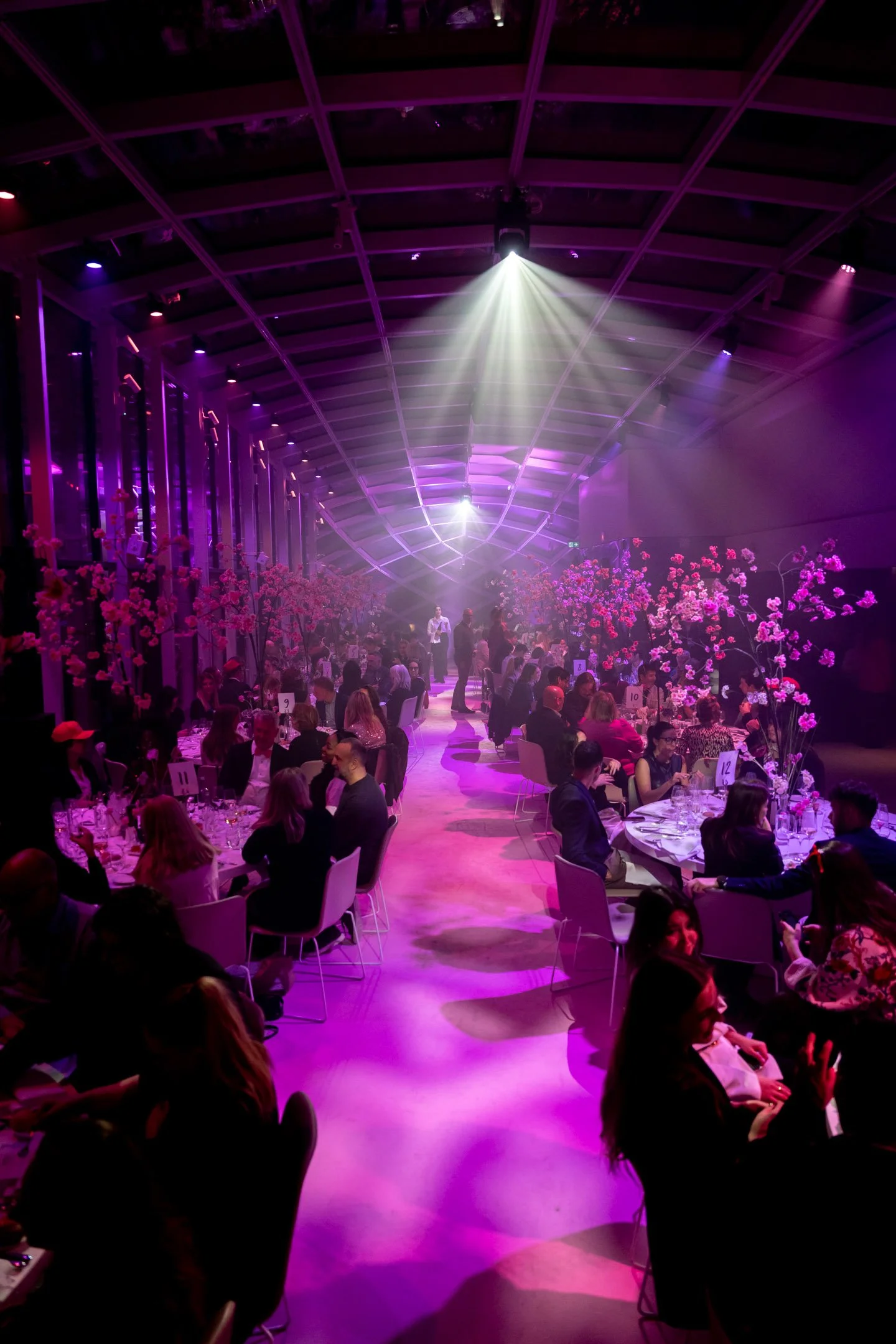 Pierre-Yves Jortay Photography - BITF Amsterdam 2026 - WEB FORMAT - 356.jpg