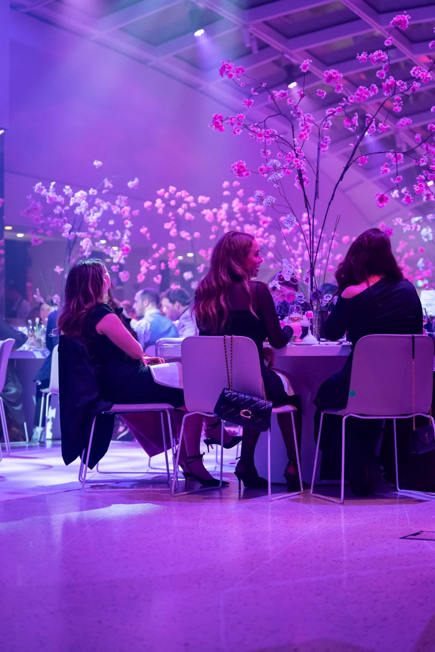 Pierre-Yves Jortay Photography - BITF Amsterdam 2026 - WEB FORMAT - 366.jpg