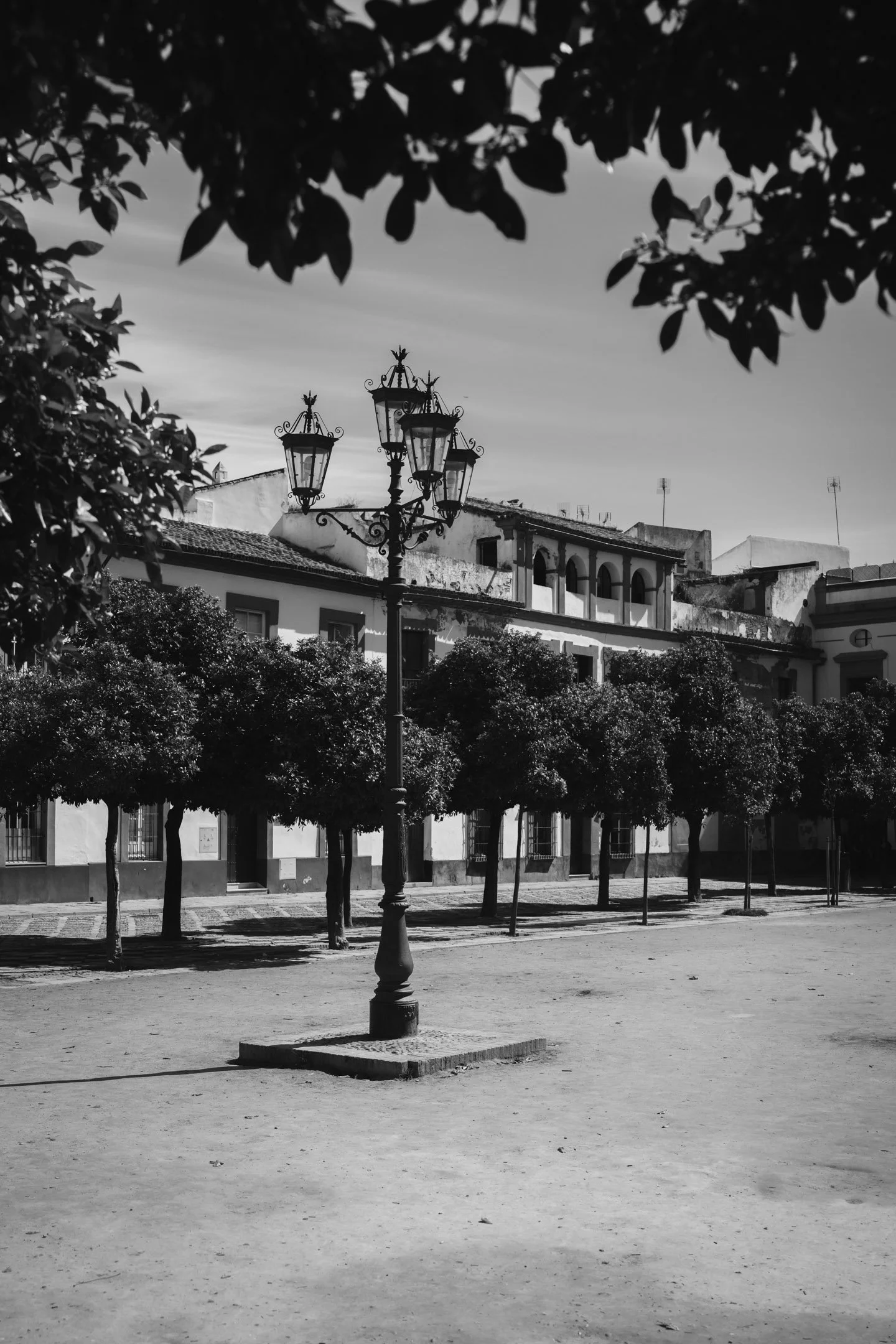 Pierre-Yves Jortay Photography -BTIF - Sevilla 2026 - Web Format - 11.jpg