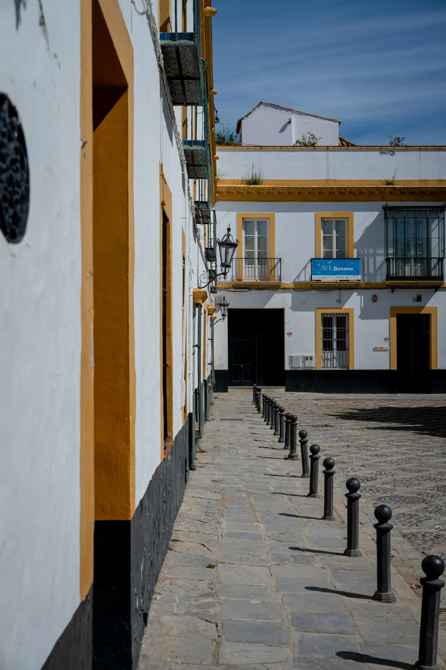 Pierre-Yves Jortay Photography -BTIF - Sevilla 2026 - Web Format - 12.jpg