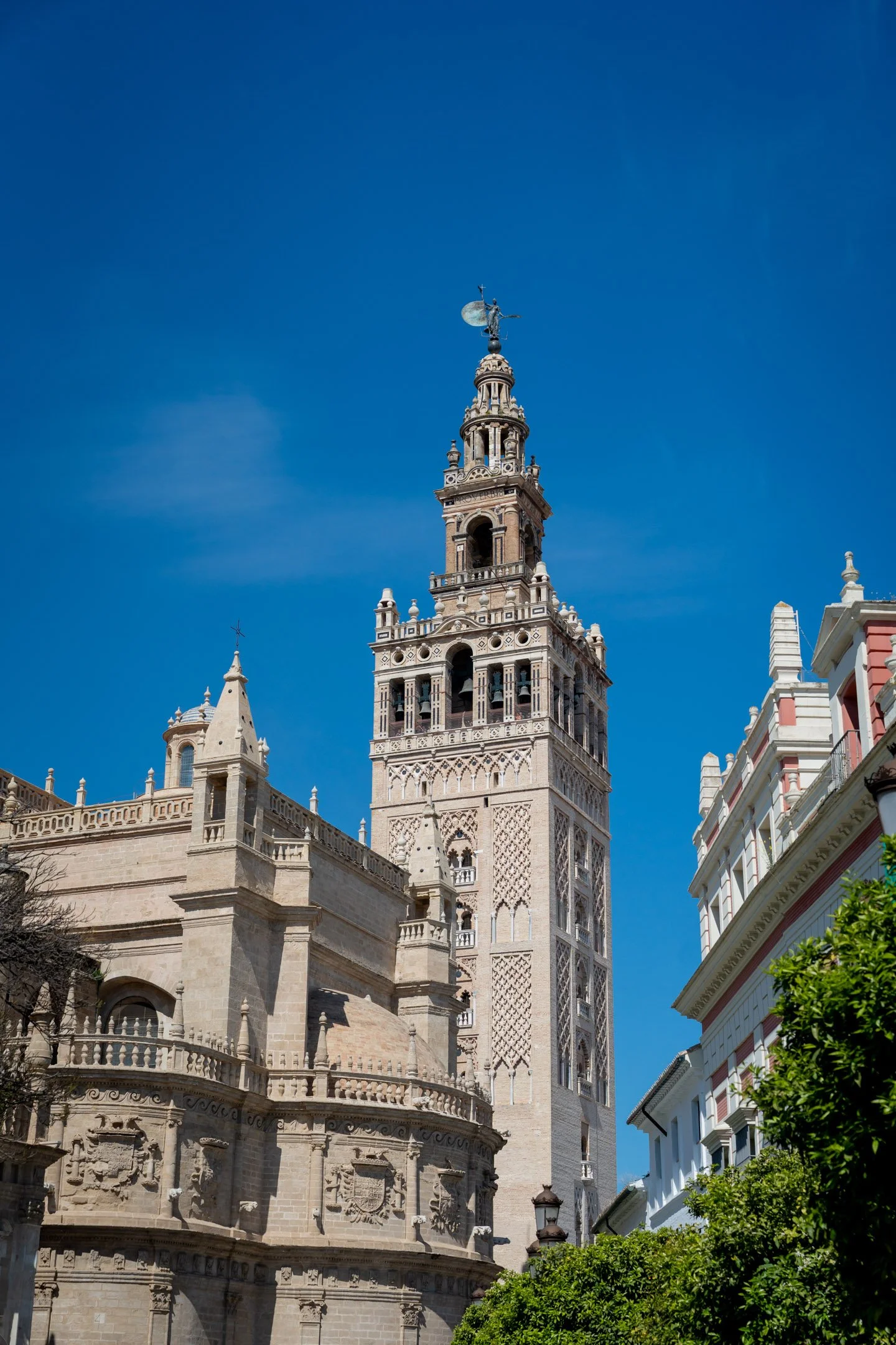 Pierre-Yves Jortay Photography -BTIF - Sevilla 2026 - Web Format - 13.jpg