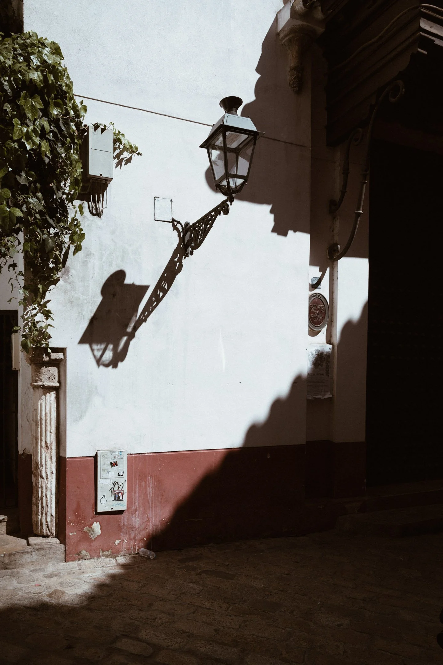 Pierre-Yves Jortay Photography -BTIF - Sevilla 2026 - Web Format - 17.jpg