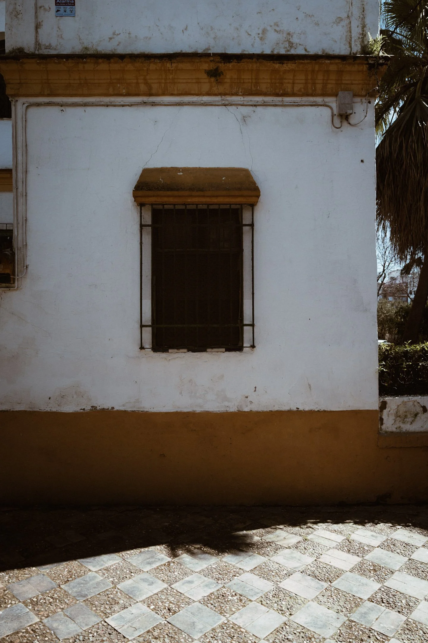 Pierre-Yves Jortay Photography -BTIF - Sevilla 2026 - Web Format - 18.jpg