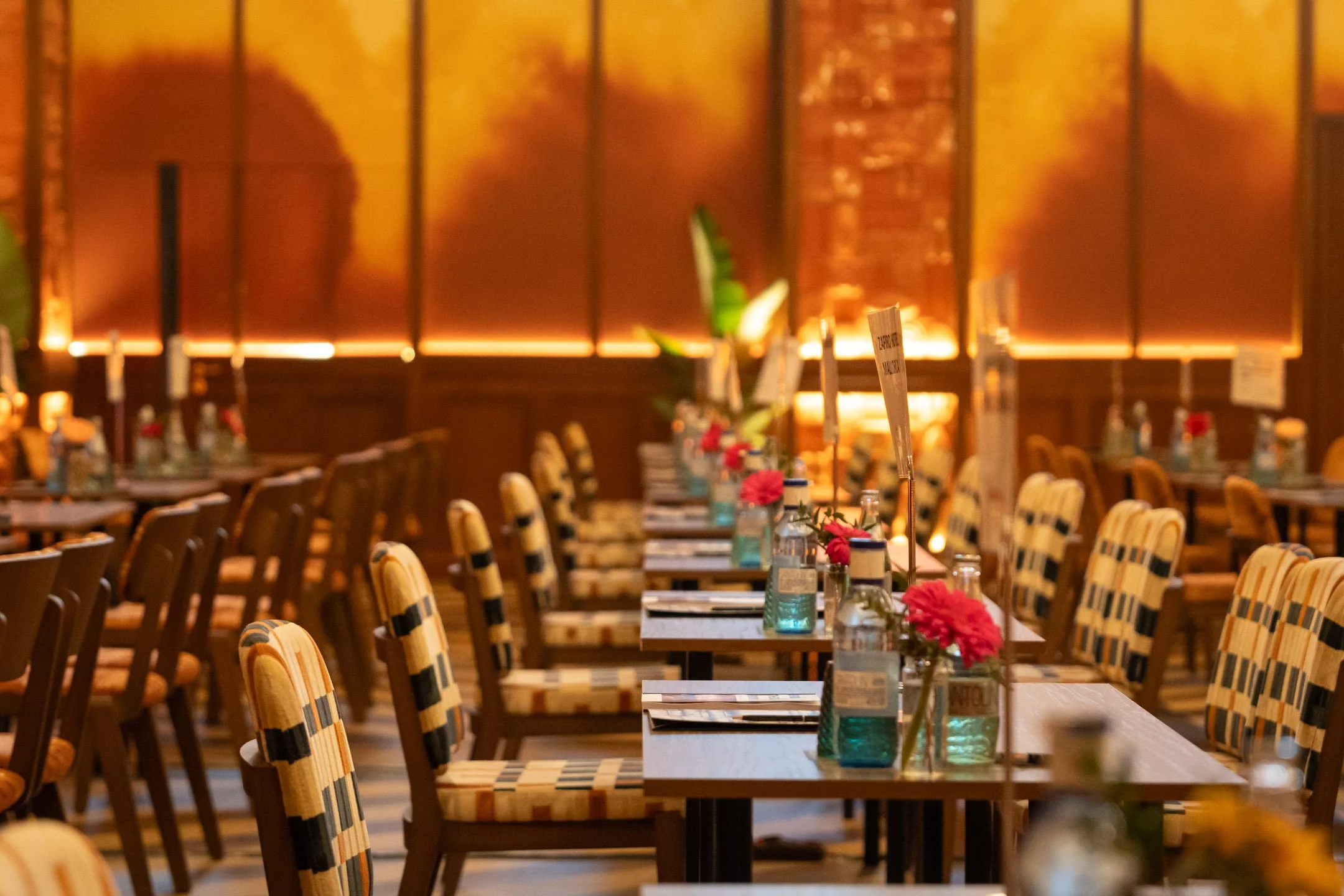 Pierre-Yves Jortay Photography -BTIF - Sevilla 2026 - Web Format - 108.jpg