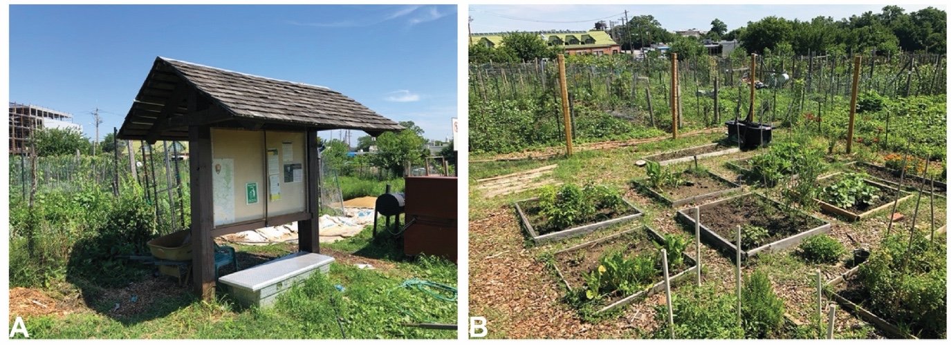  Examples of small-scale features associated with the community gardens. These include bulletin boards/kiosks, raised beds, fencing, and irrigation systems, among others. (Left) View looking north of the kiosk at the Blair Road Community Garden. (Rig