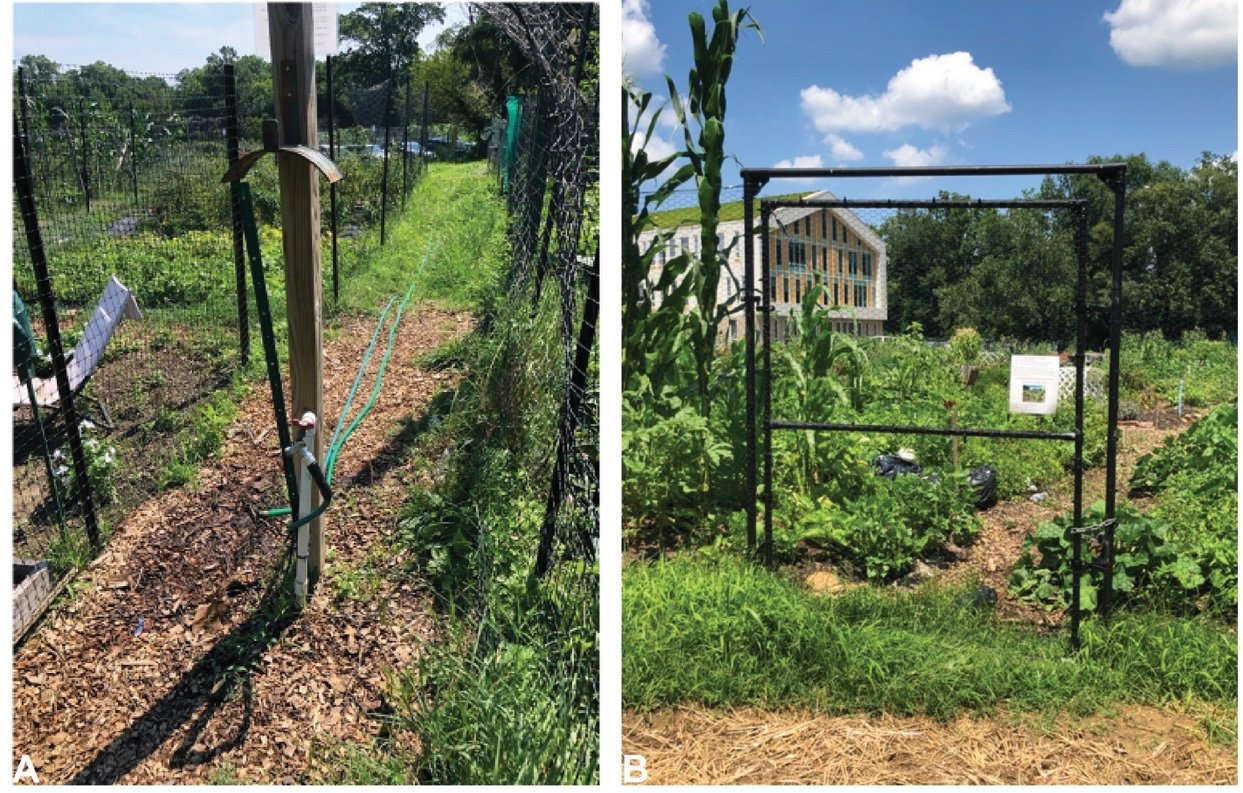  Examples of small-scale features associated with the community gardens. These include irrigation, fencing, gates, raised beds, and decorations. (Left) View looking south of a typical irrigation system at the Blair Road Community Garden; (Right) View