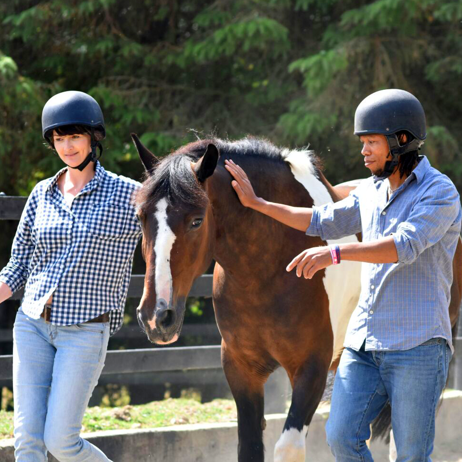 Horse-assisted programmes_Bverzio.png