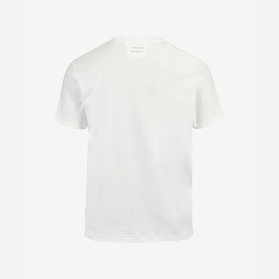 image (34).png