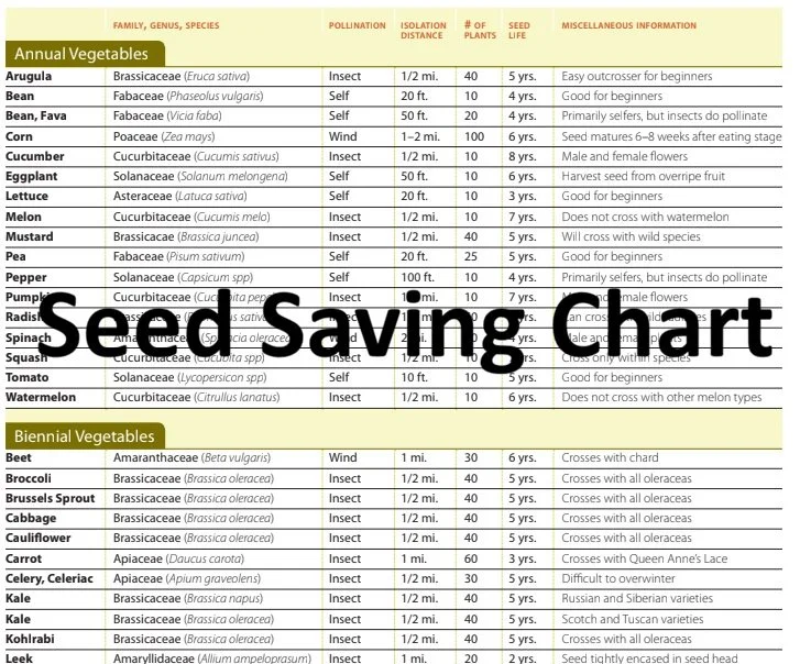 seed Saving chart.jpg