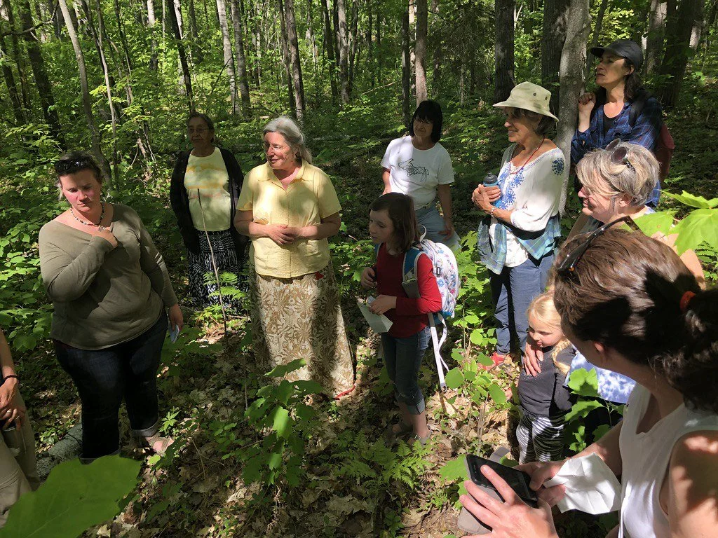 Pinery_walk_with_the_landscape_harvest_workshop.jpg