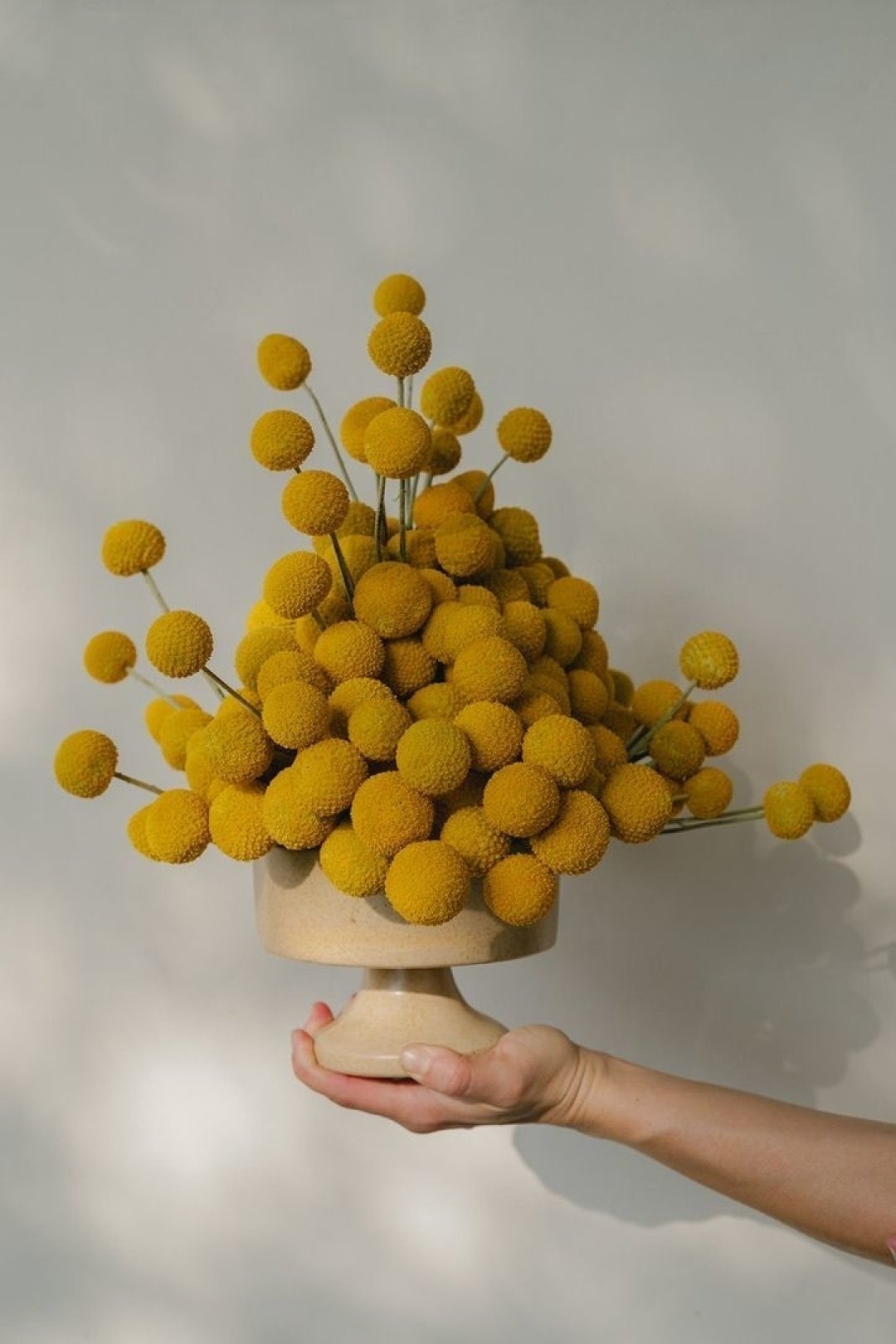 #TextureTuesday but make it sunshine‑soft and sphere‑stacked.

#interior #interiordesign #design #interiorstyle decorating dailydecordose decorinspiration interiordetails designelements colorpop ihavethisthingwithcolor