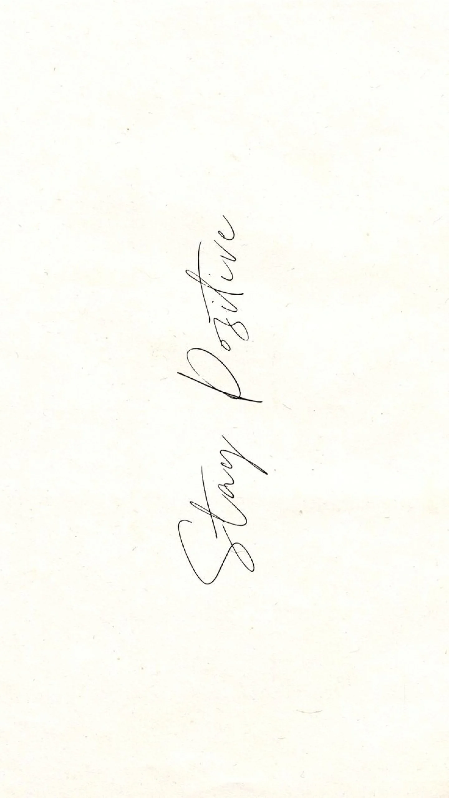 #WisdomWednesday Stay positive! Not as a denial of reality, but as a commitment to resilience. Perspective is power, and optimism is a daily practice that shapes how we move forward, even when the path feels uncertain.

#interior #interiordesign #des