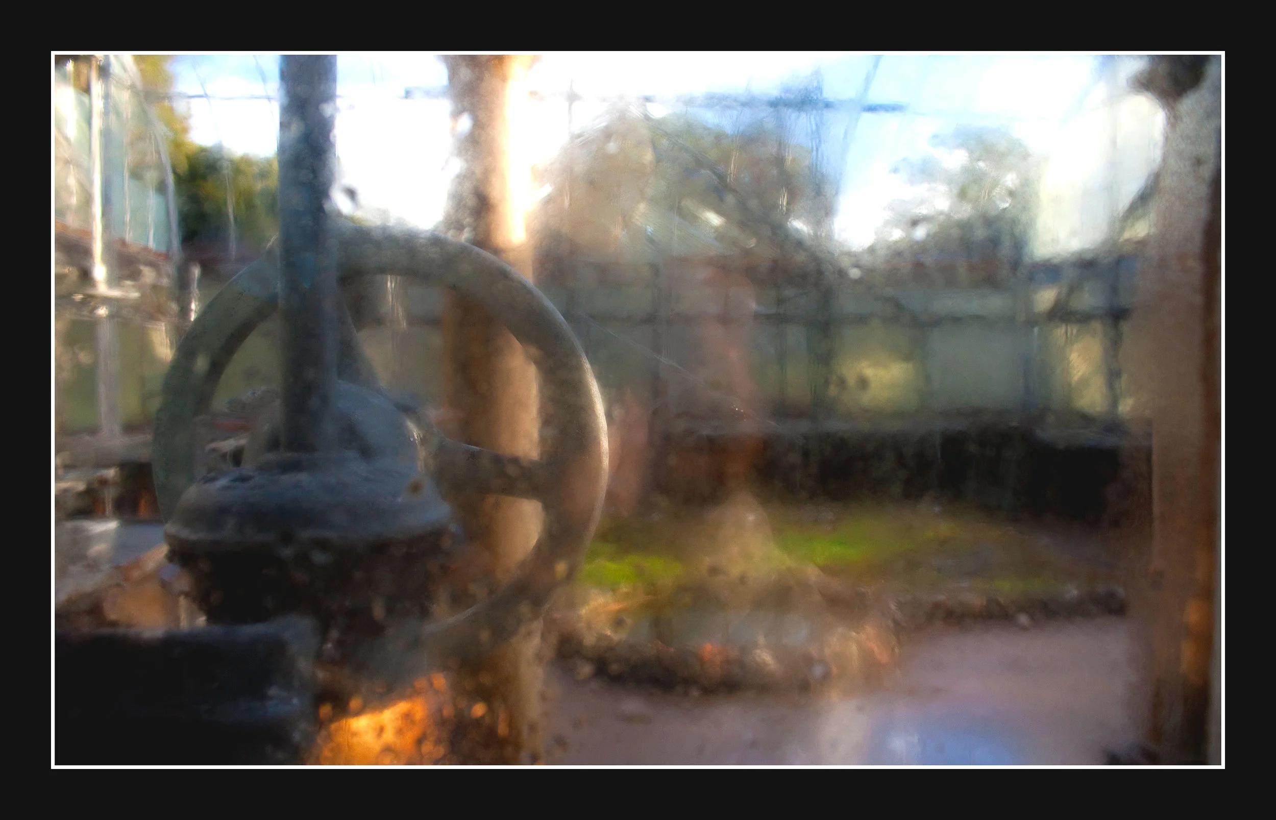 Ghosted+Vision%2C+Sapelo+Island+-+17.5x11.25.jpg