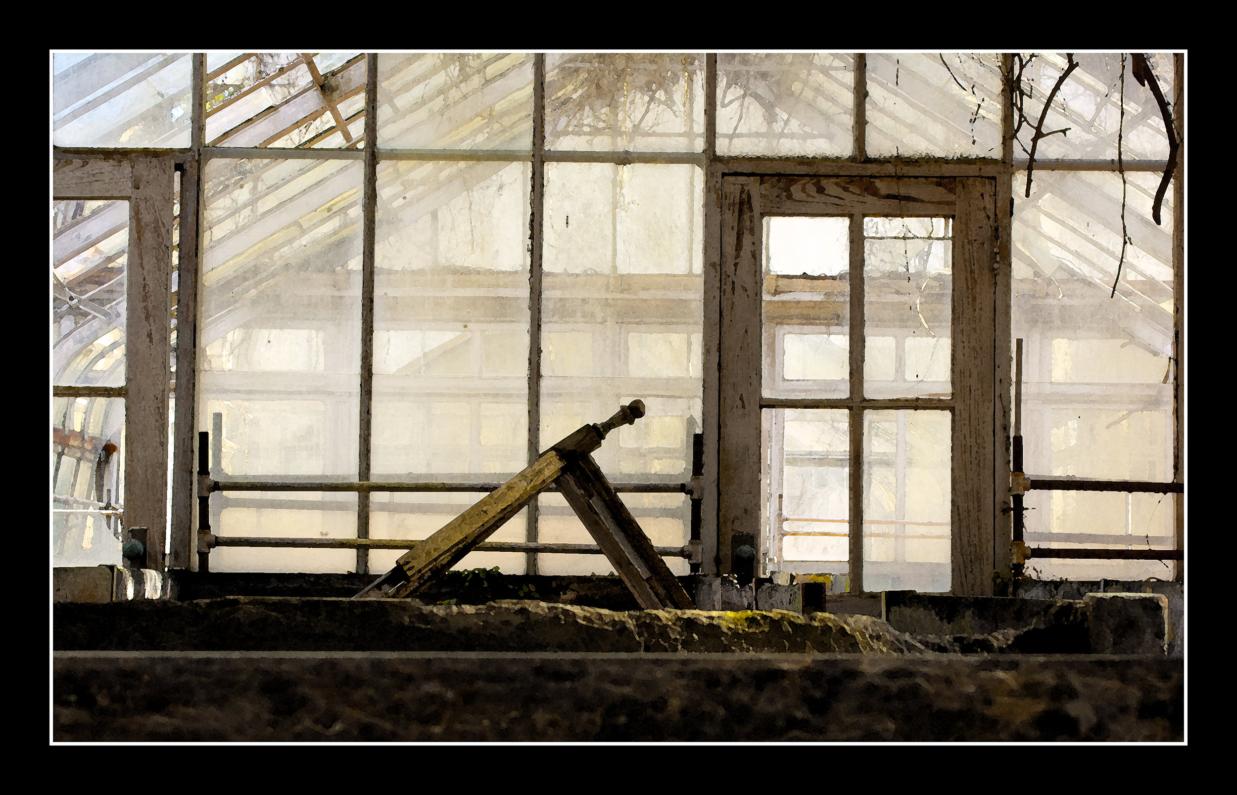 Forged Light, Sapelo Island - 17.5x11.25_edited-1.jpg