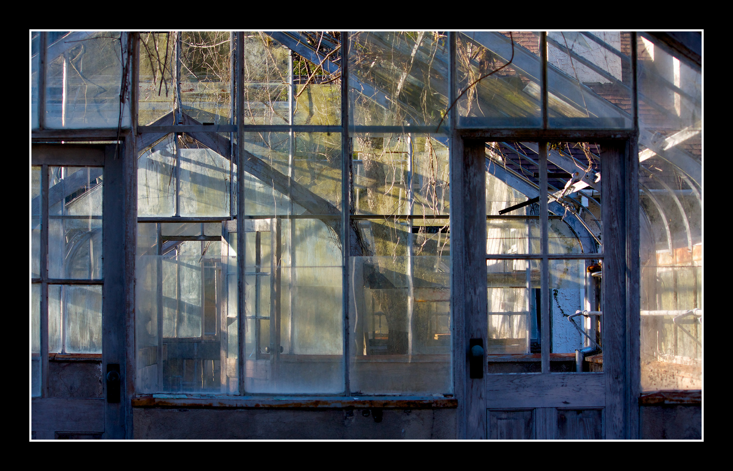 Sapelo Greenhouse - Sapelo Island - 17.5x11.25.jpg