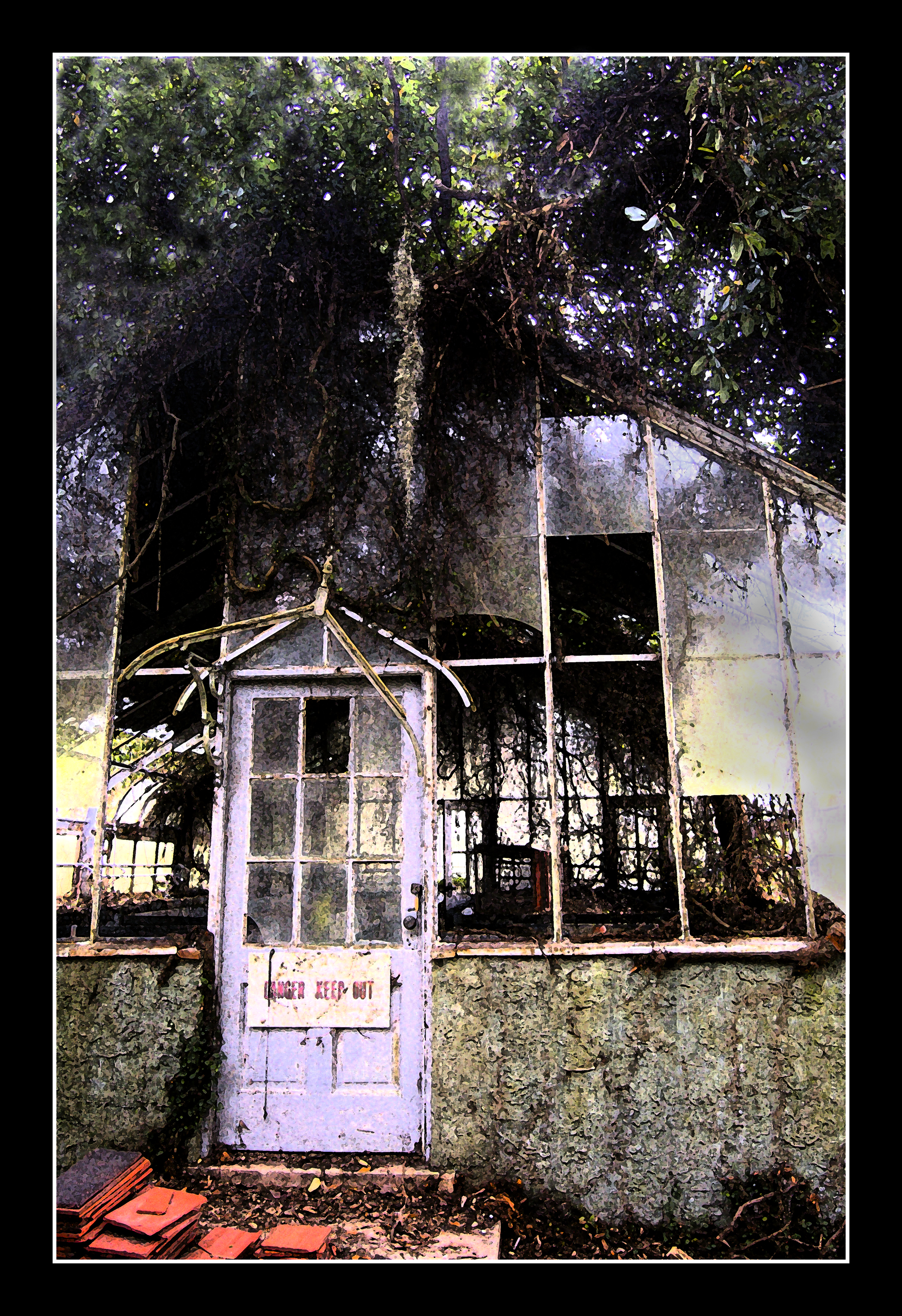 Rooted in the Past, Sapelo Island -12 x 17.5.jpg