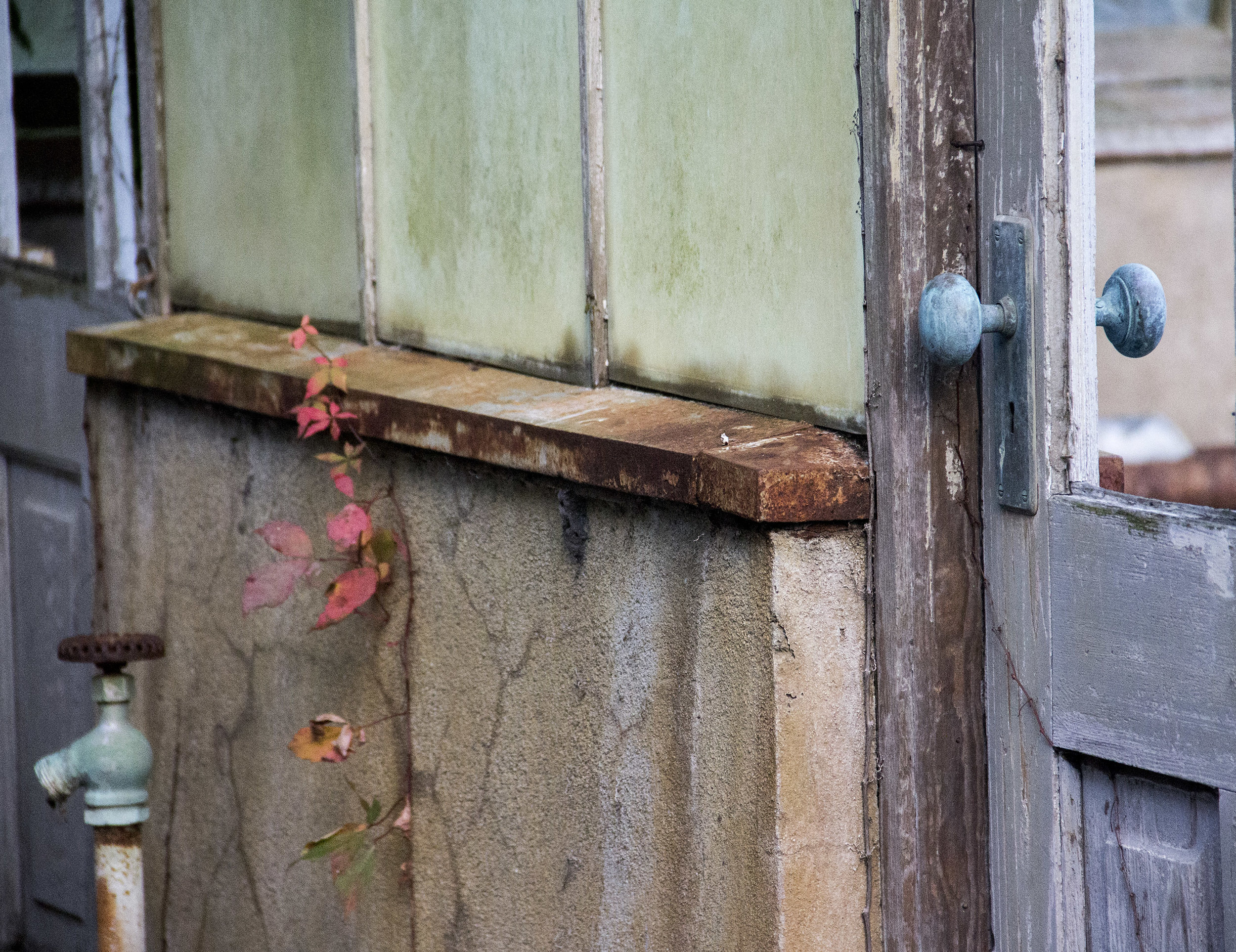 Sapelo Doorway with blue knob.jpg