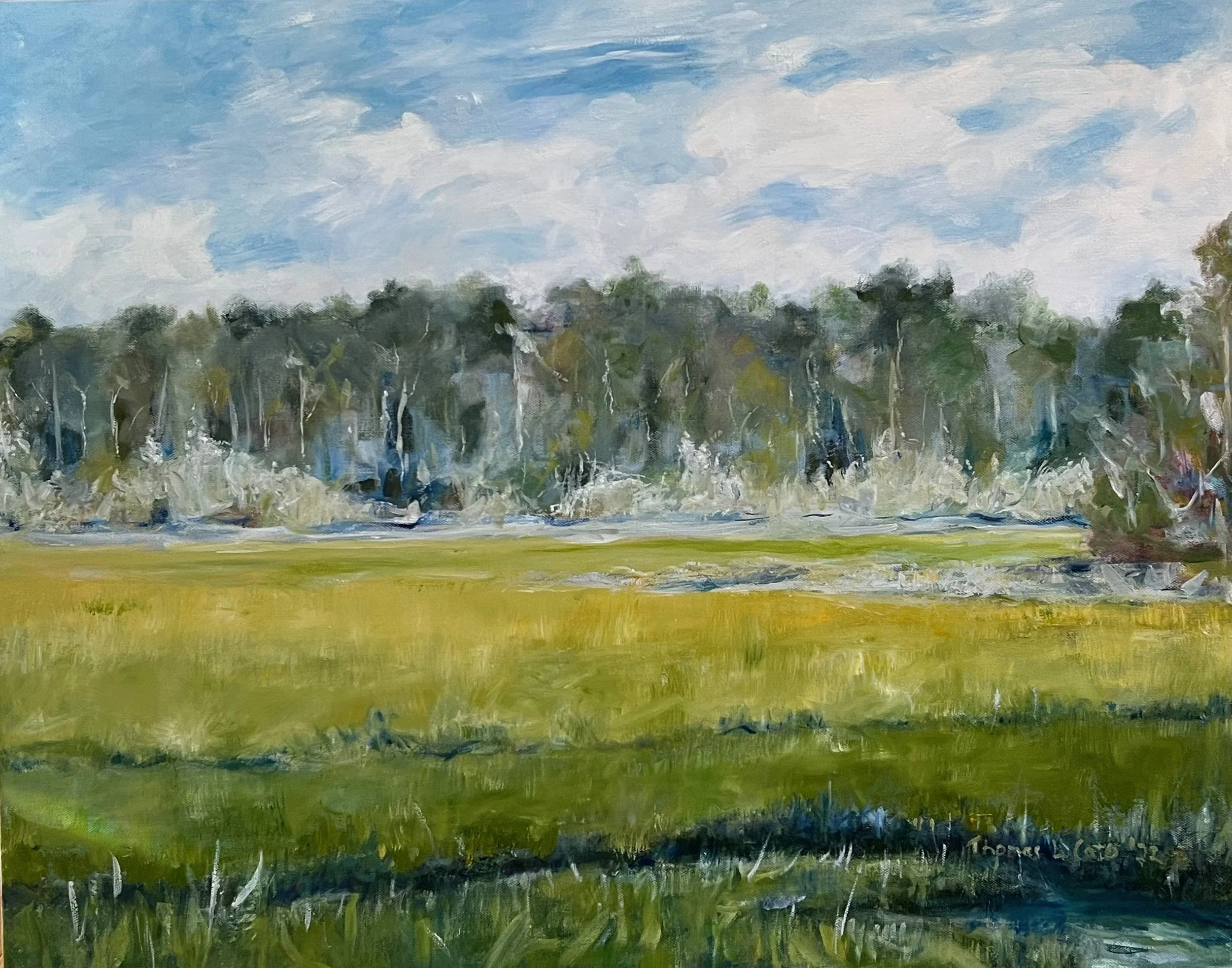 Otter Slide Loop Marsh