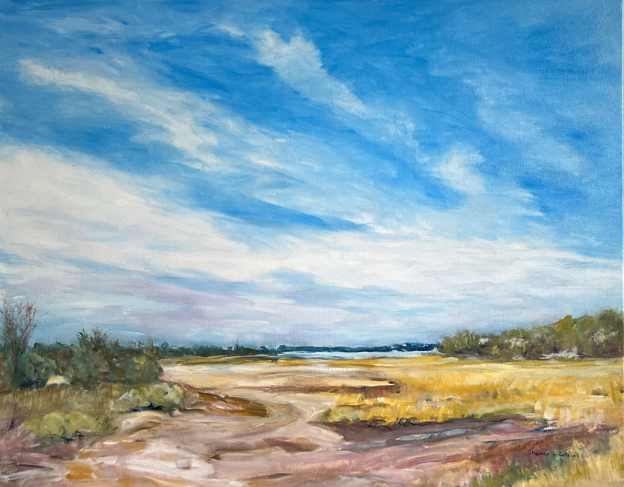 Pinckney Island State Park Vista