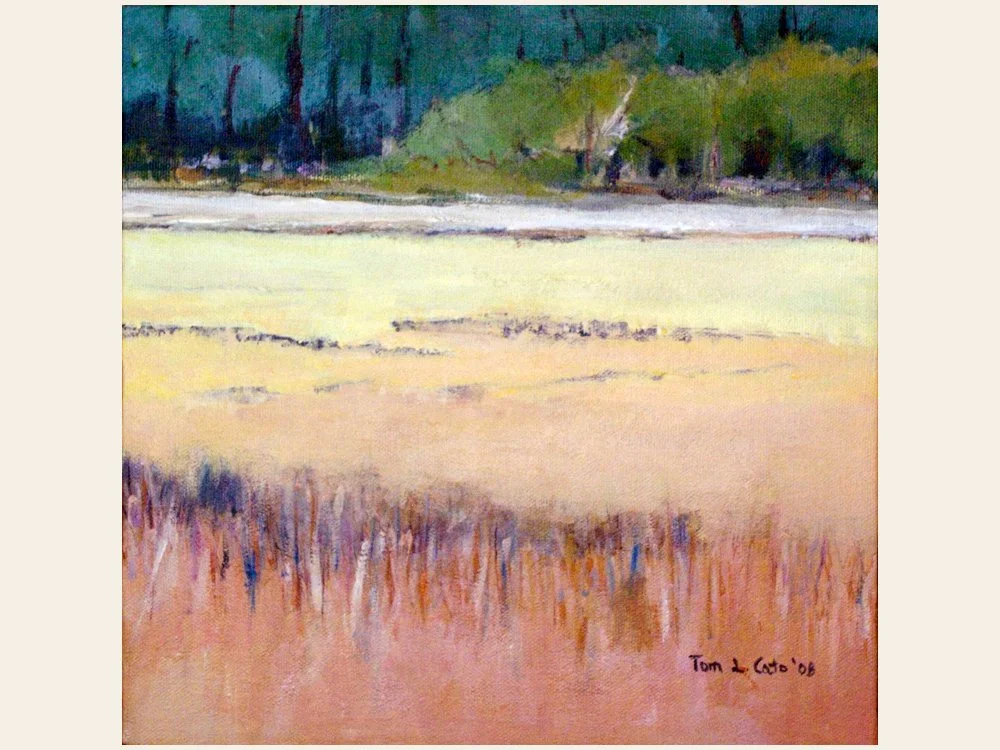 Fall Marsh