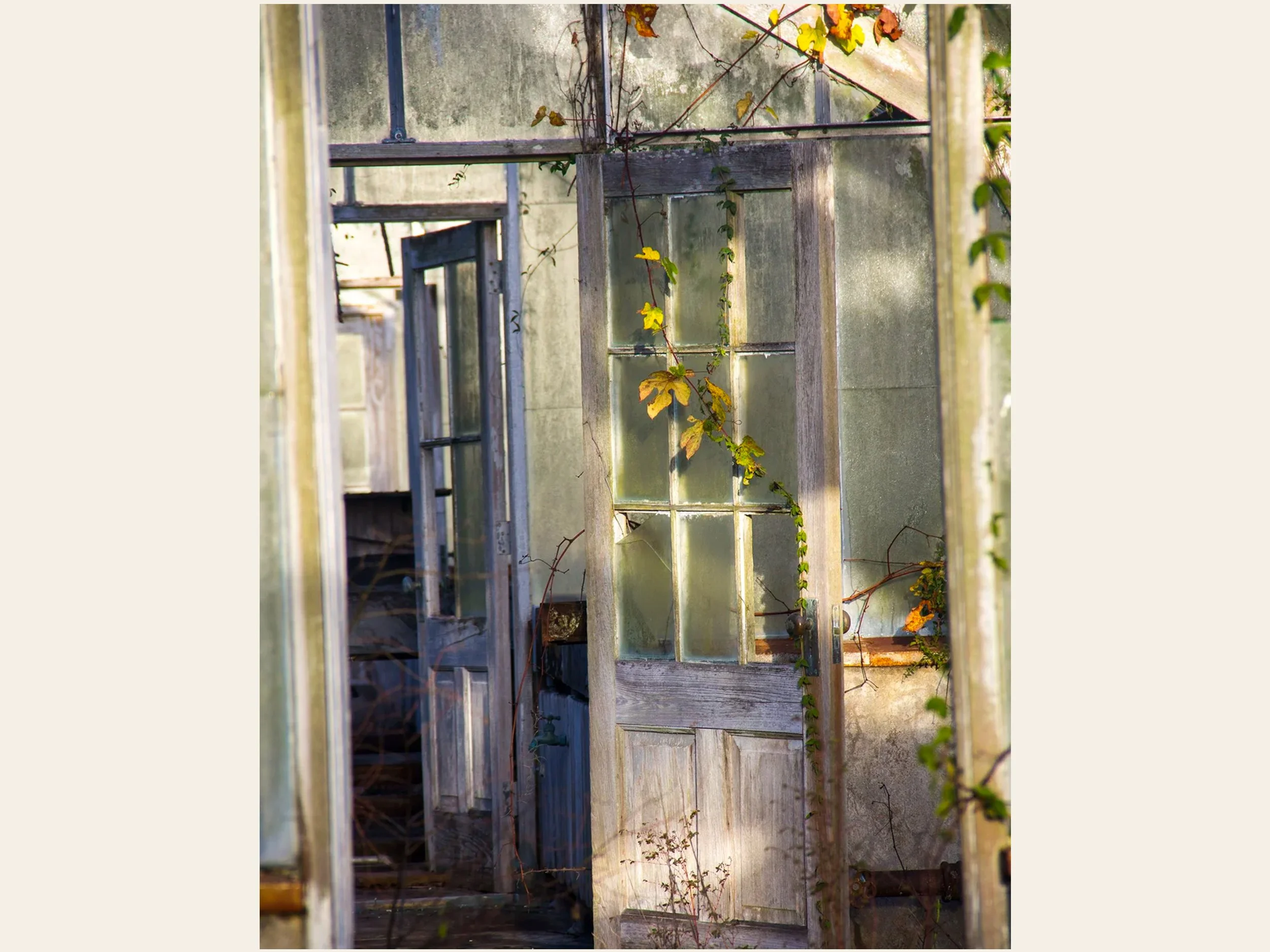 door 2.jpg