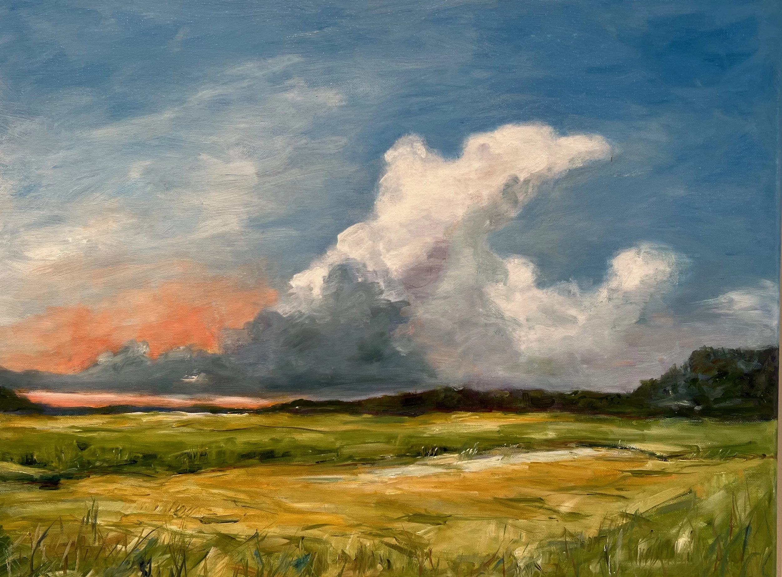 Pinckney Island Cloud Formation