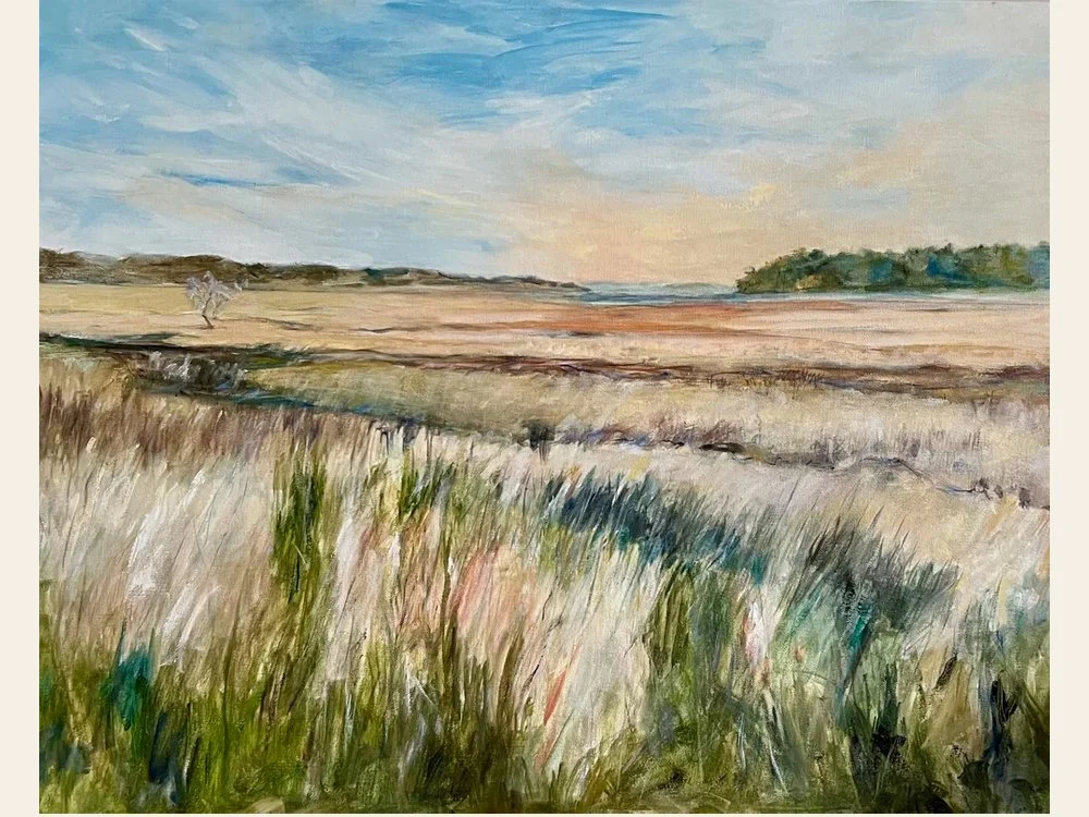 Marsh Vista in McIntosh County