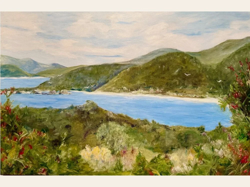 Trunk Bay from Peace Hill, St. John, USVI