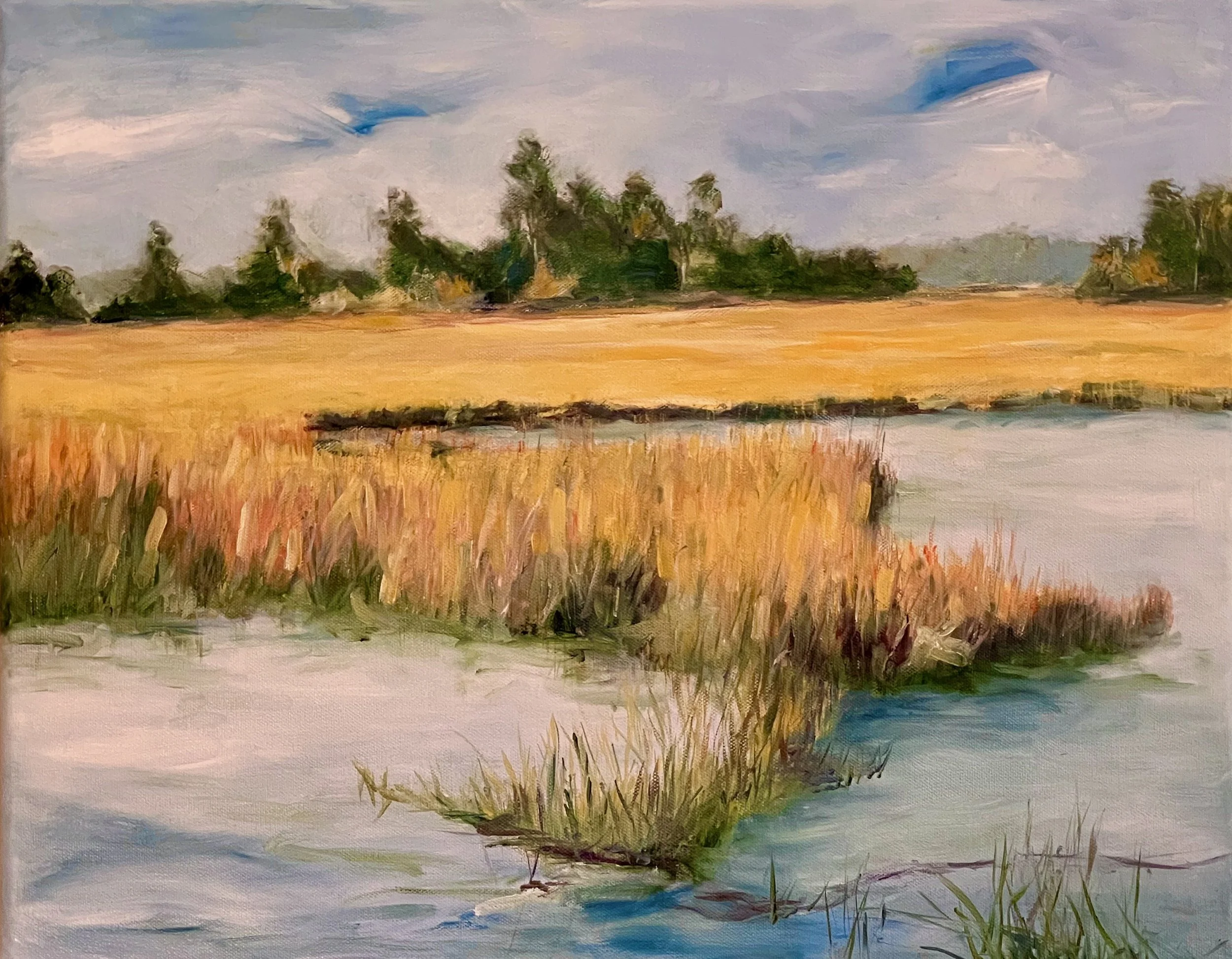 Harris Neck Marsh in Winter