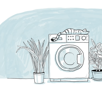 Lise Lang Willar-BABYZEN-YOYO-wash me easily.gif